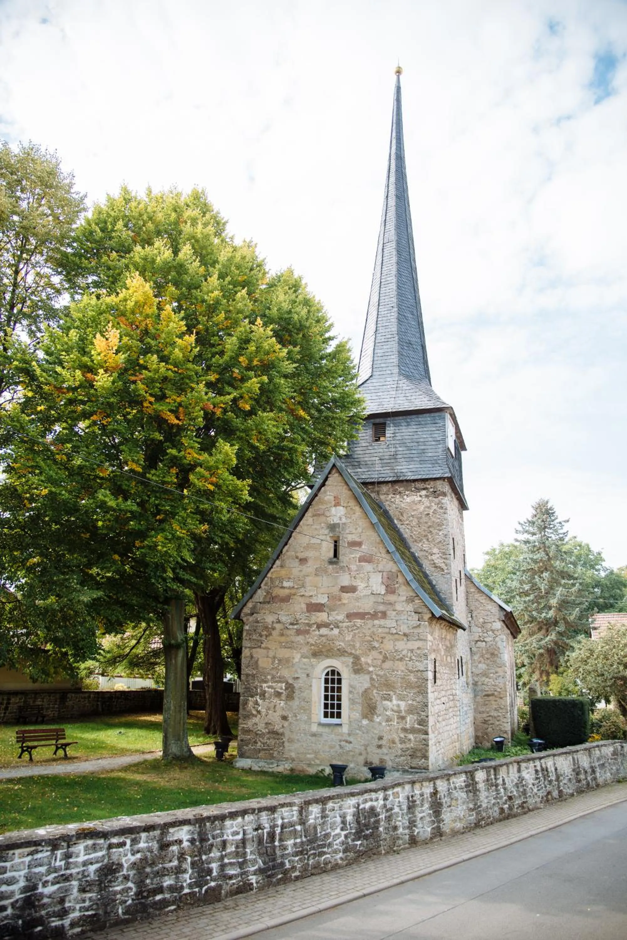 Area and facilities in Dorint Am Goethepark Weimar