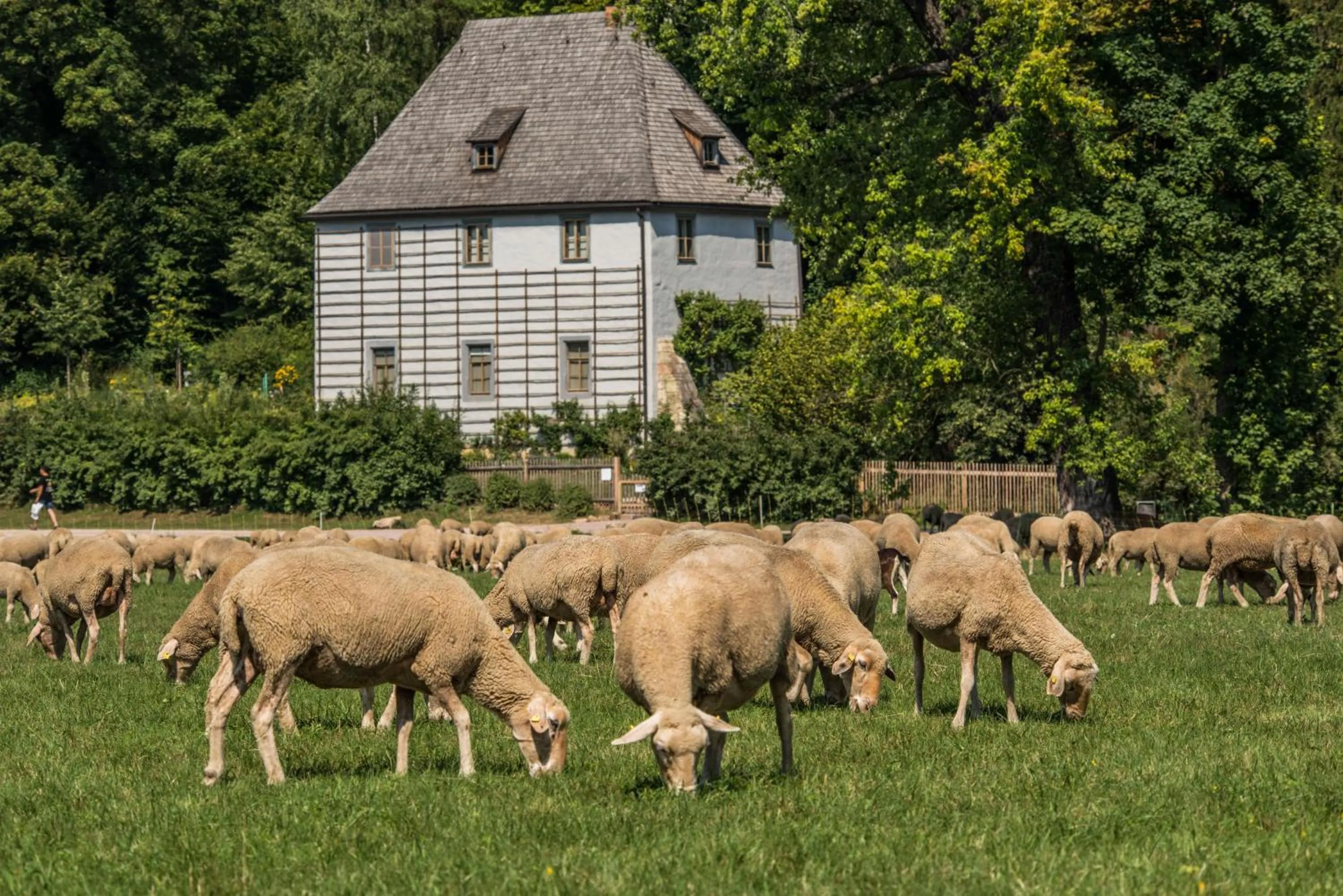 Nearby landmark in Dorint Am Goethepark Weimar