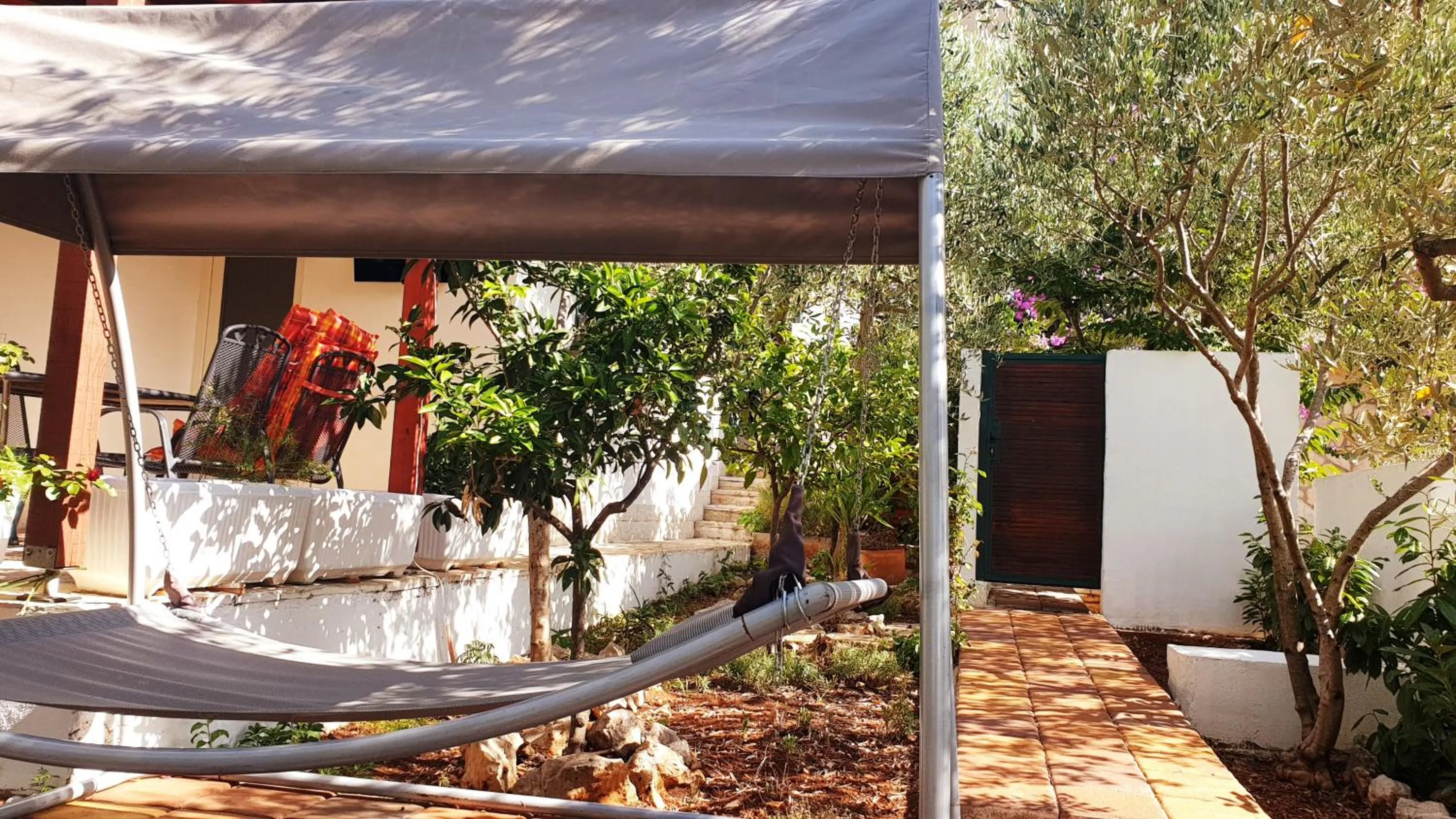 House with big walled oliva garden