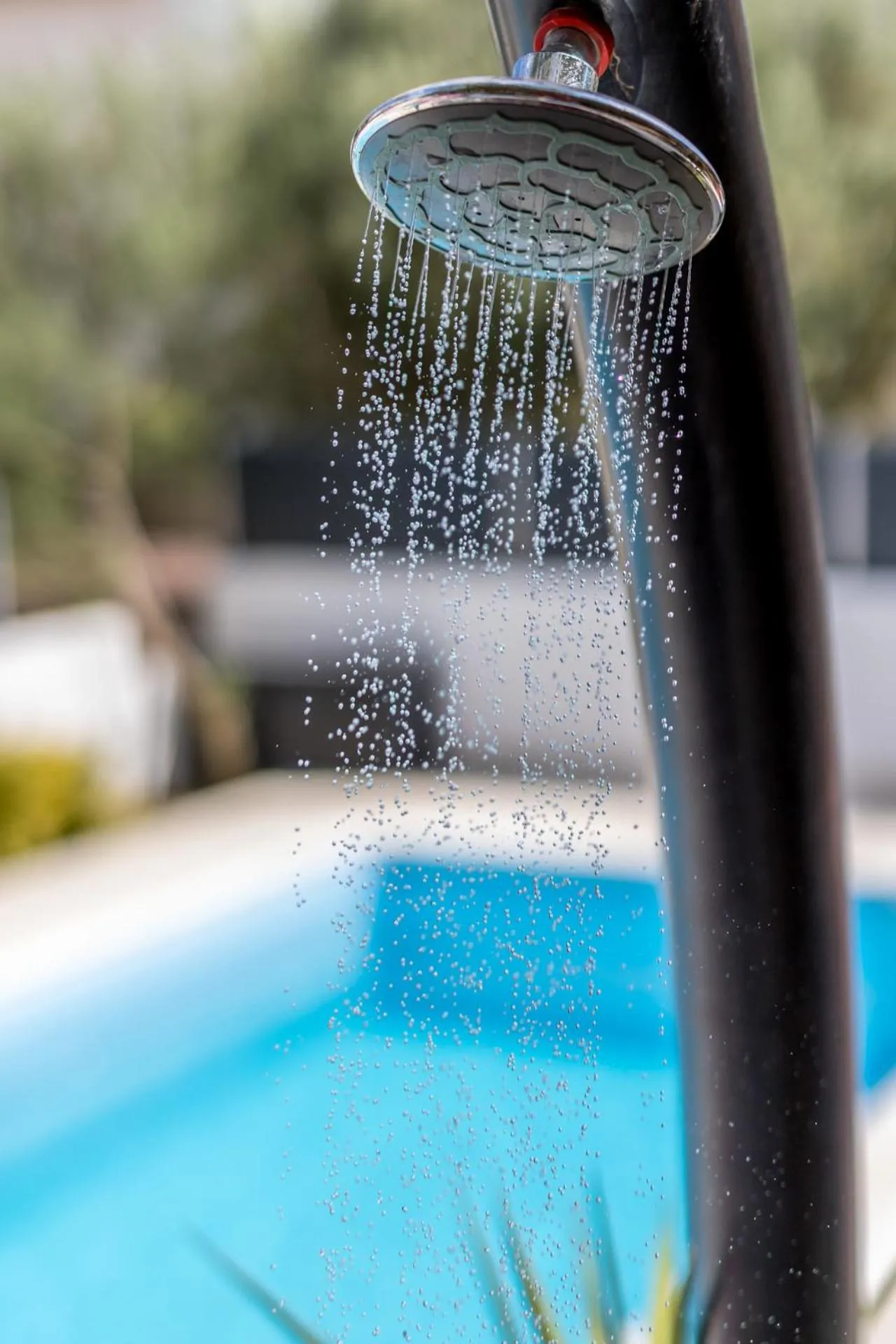 Swimming Pool in House with big walled oliva garden