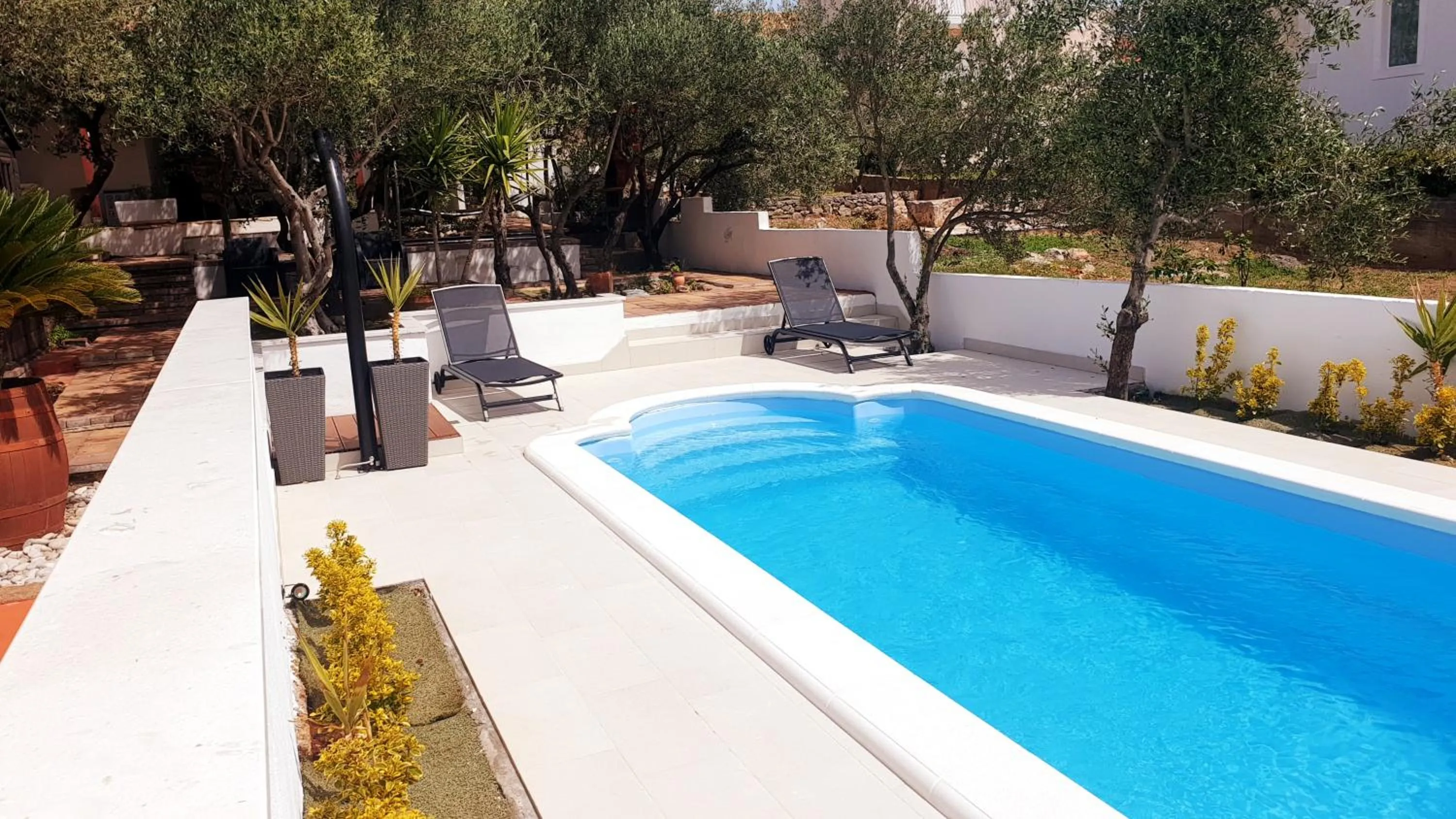 Swimming Pool in House with big walled oliva garden