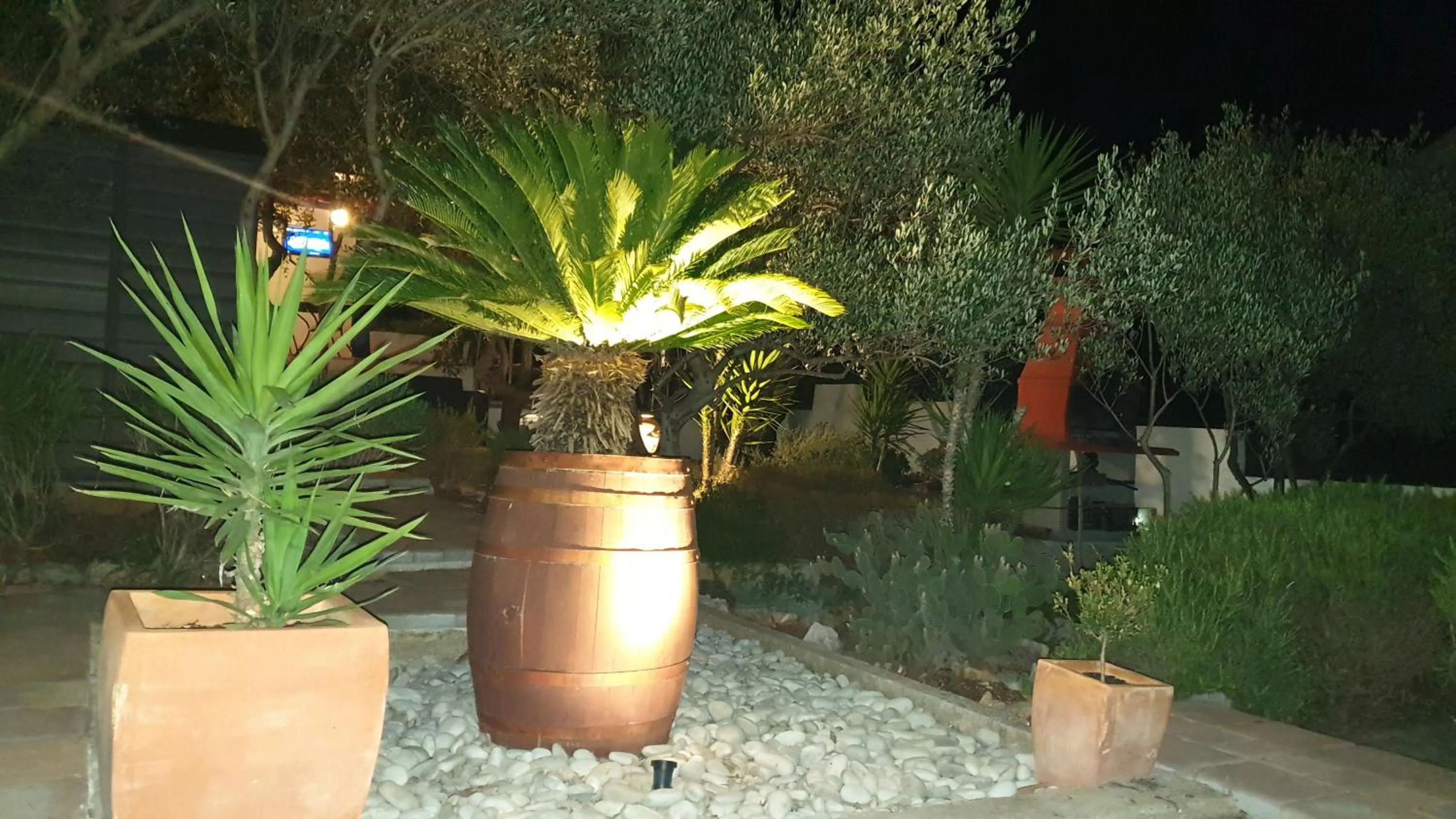 House with big walled oliva garden