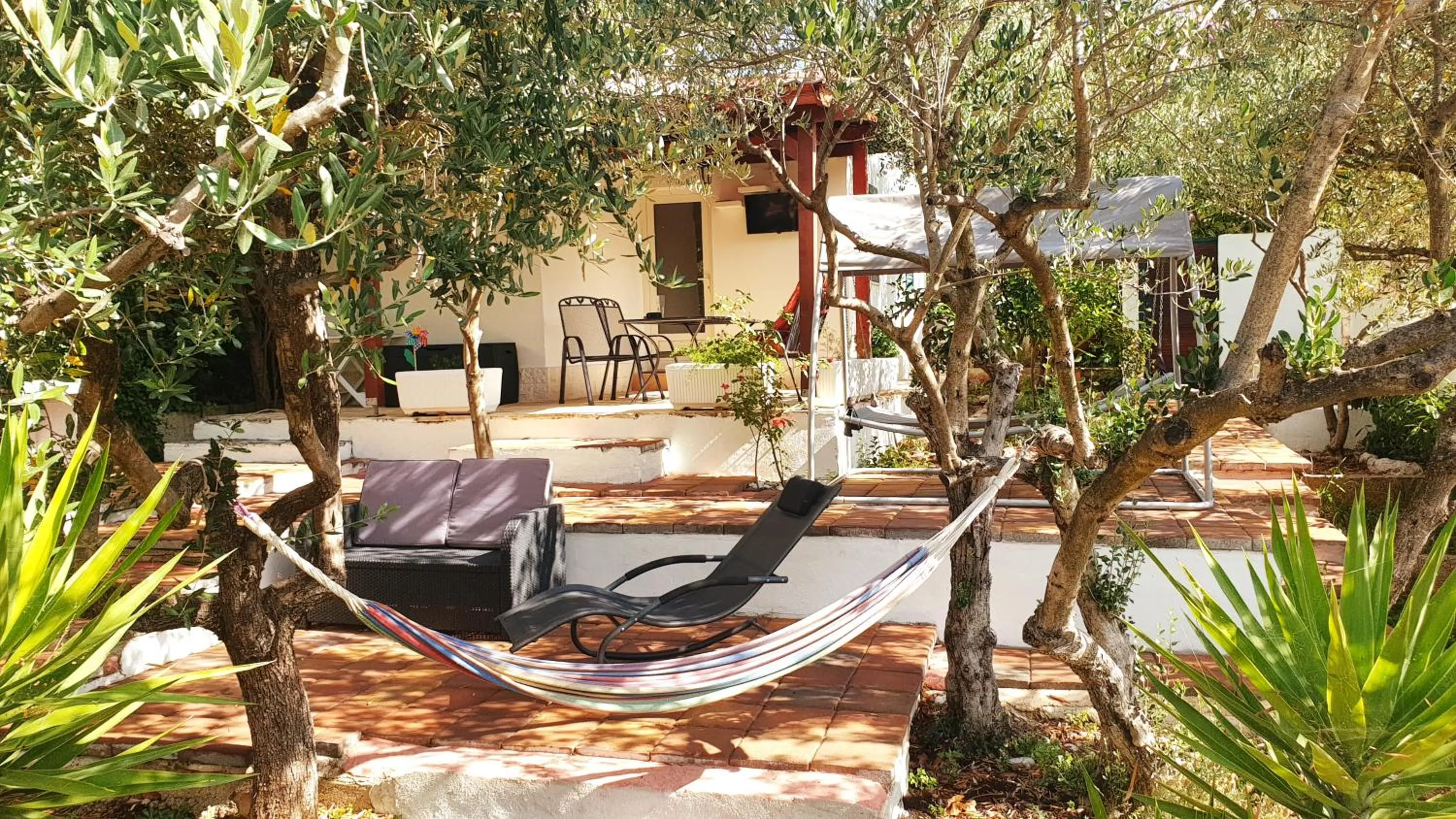 furniture in House with big walled oliva garden