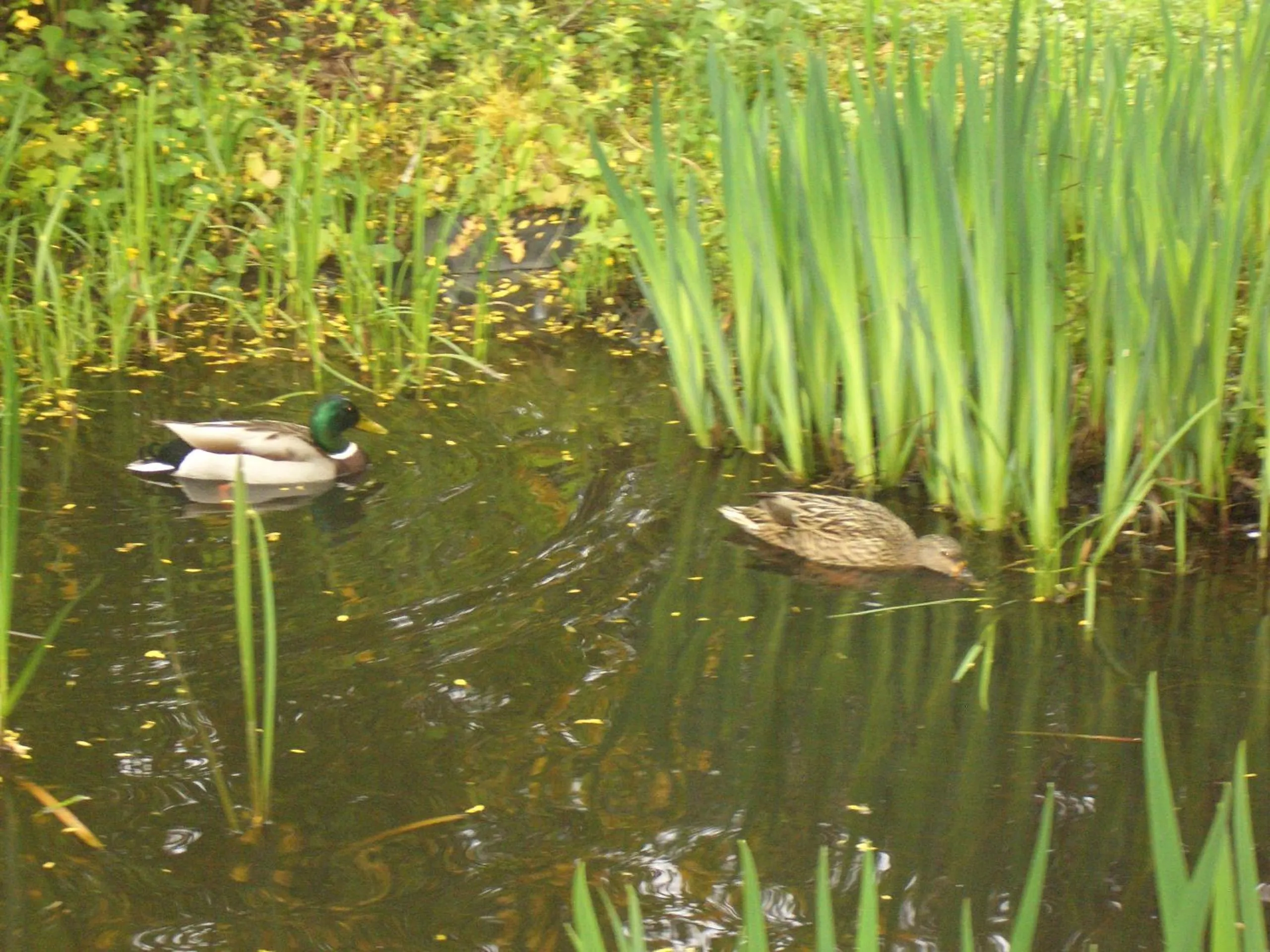 Area and facilities in Hotel Battenfeld