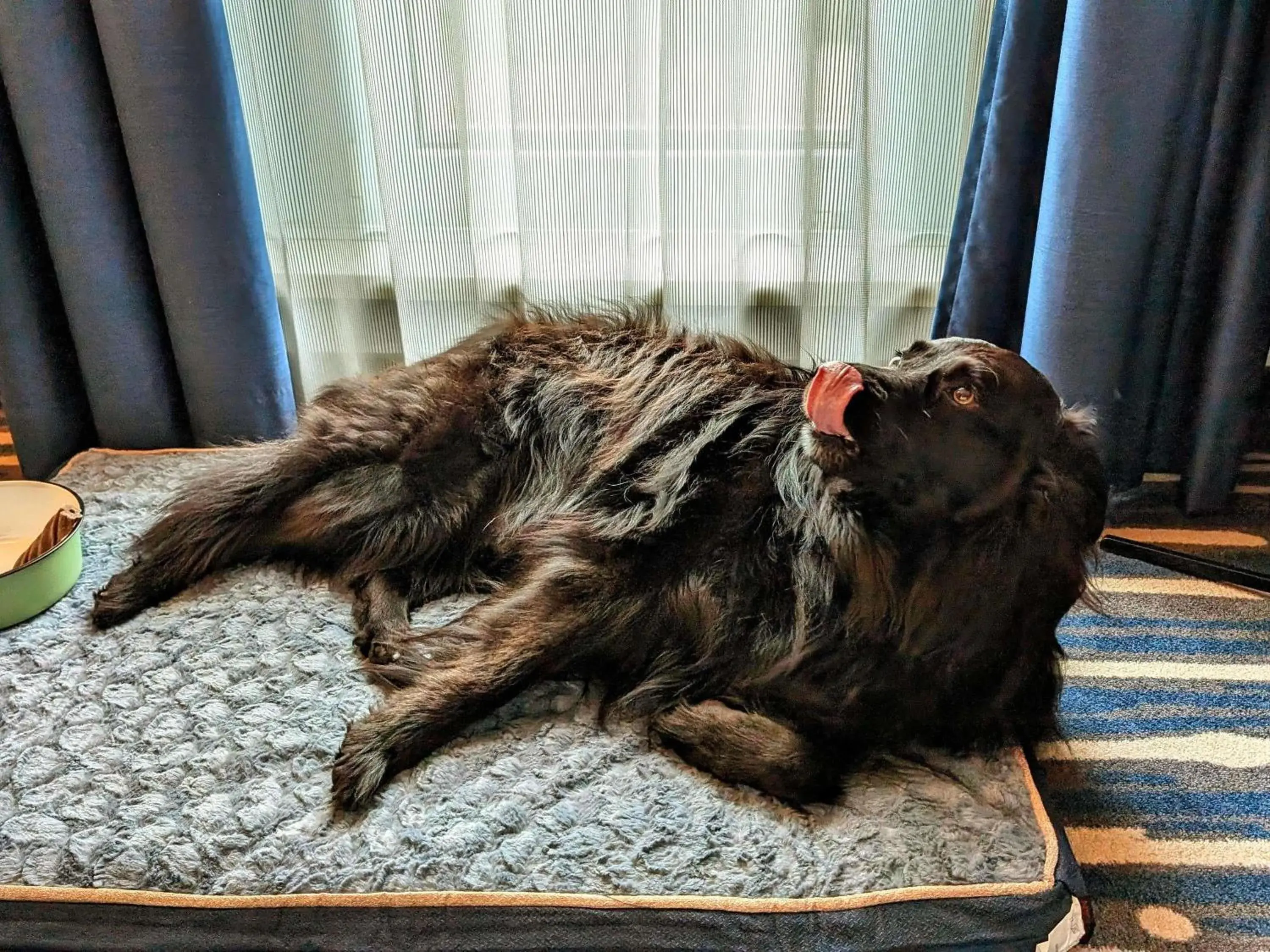 Bedroom in Mercure Hotel Hamburg Mitte Bedroom in Mercure Hotel Hamburg Mitte