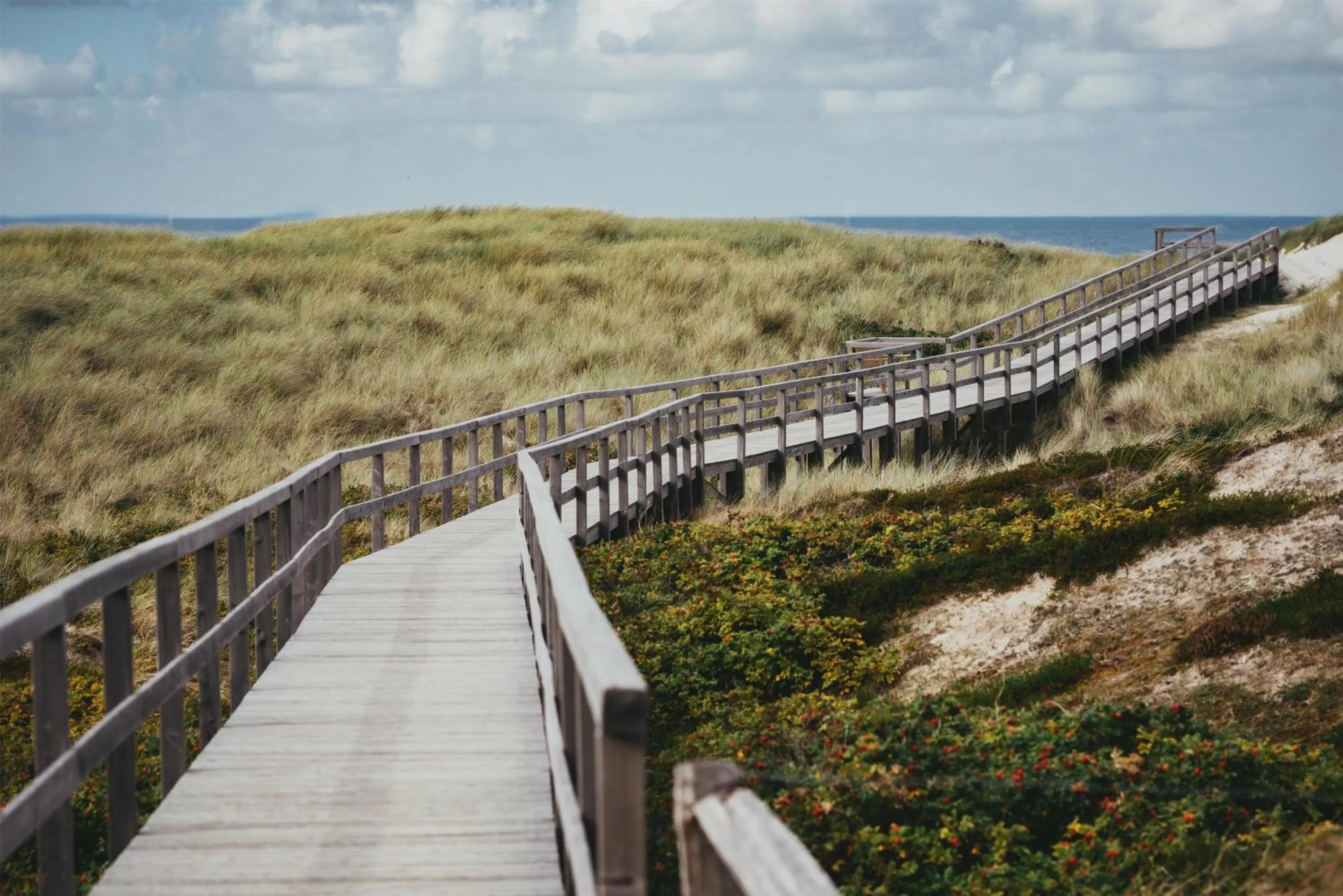 Other in Dorint Strandresort & Spa Westerland/Sylt