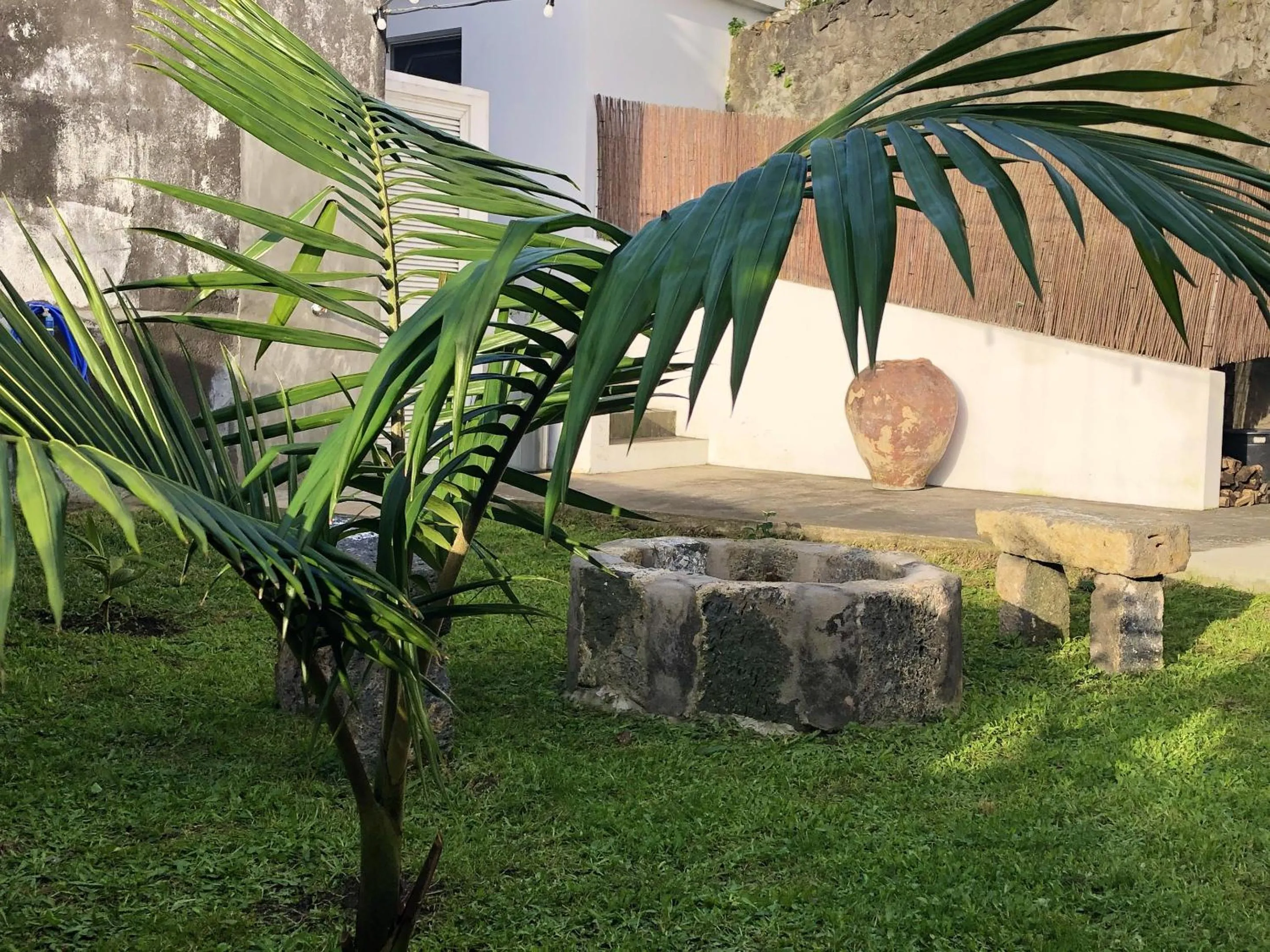 Garden in Comfortable House in Ribeira Grande, Pleasant Garden