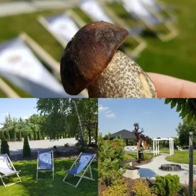 Garden in Hotel Polonia