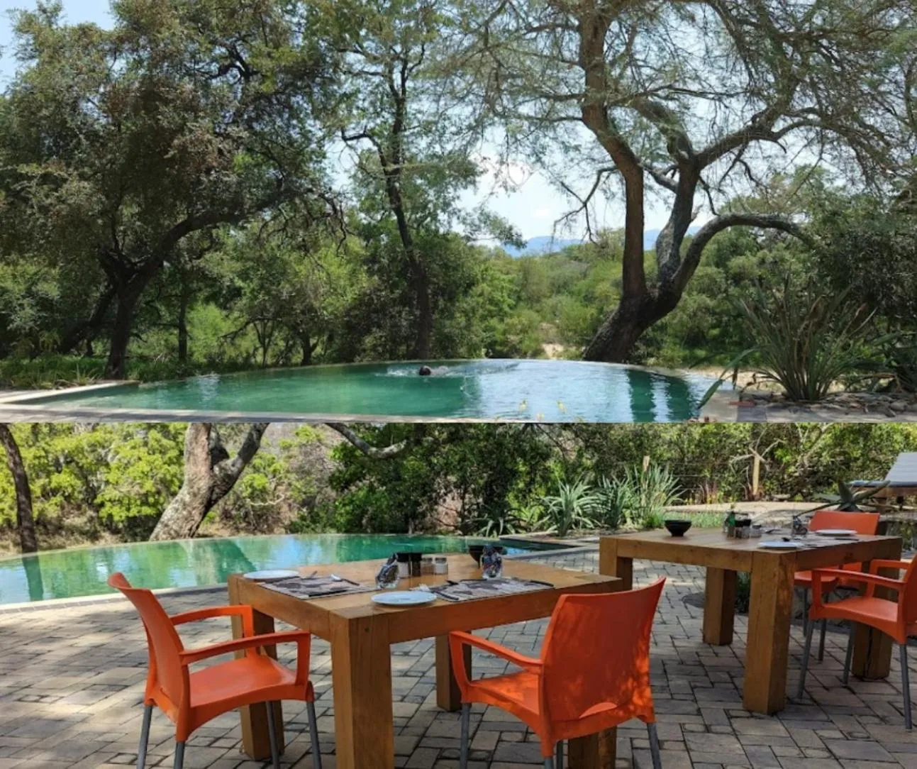 Restaurant/places to eat in Little Africa Safari Lodge