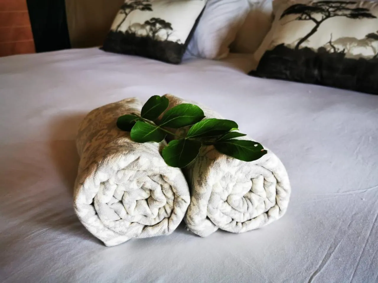 Bed in Little Africa Safari Lodge