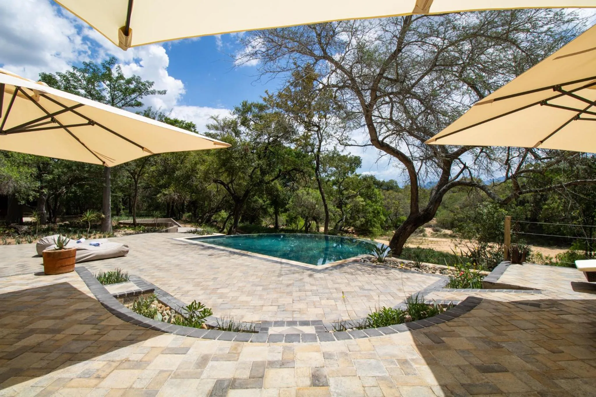 Garden view in Little Africa Safari Lodge