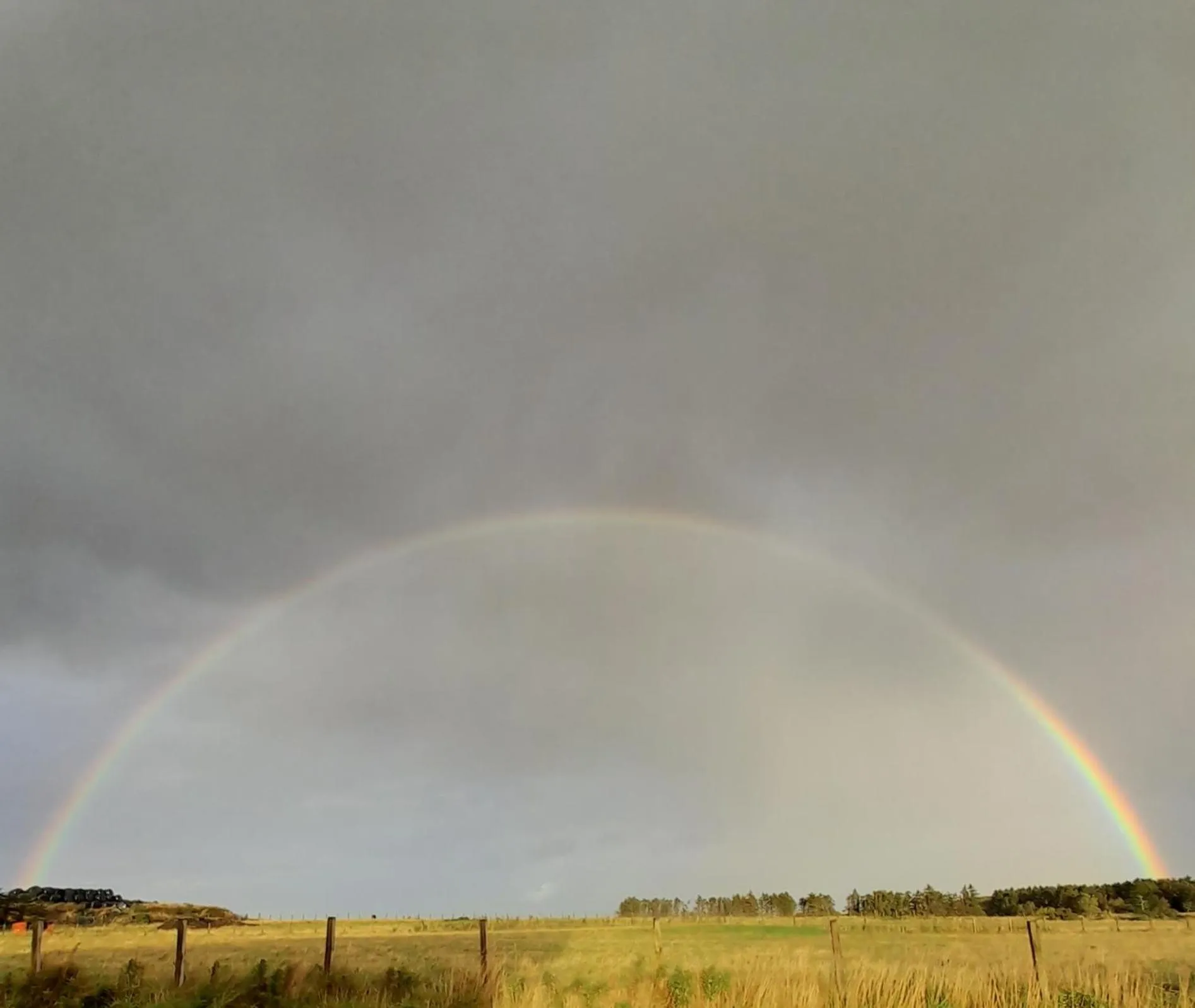 Natural landscape in North Star Glamping