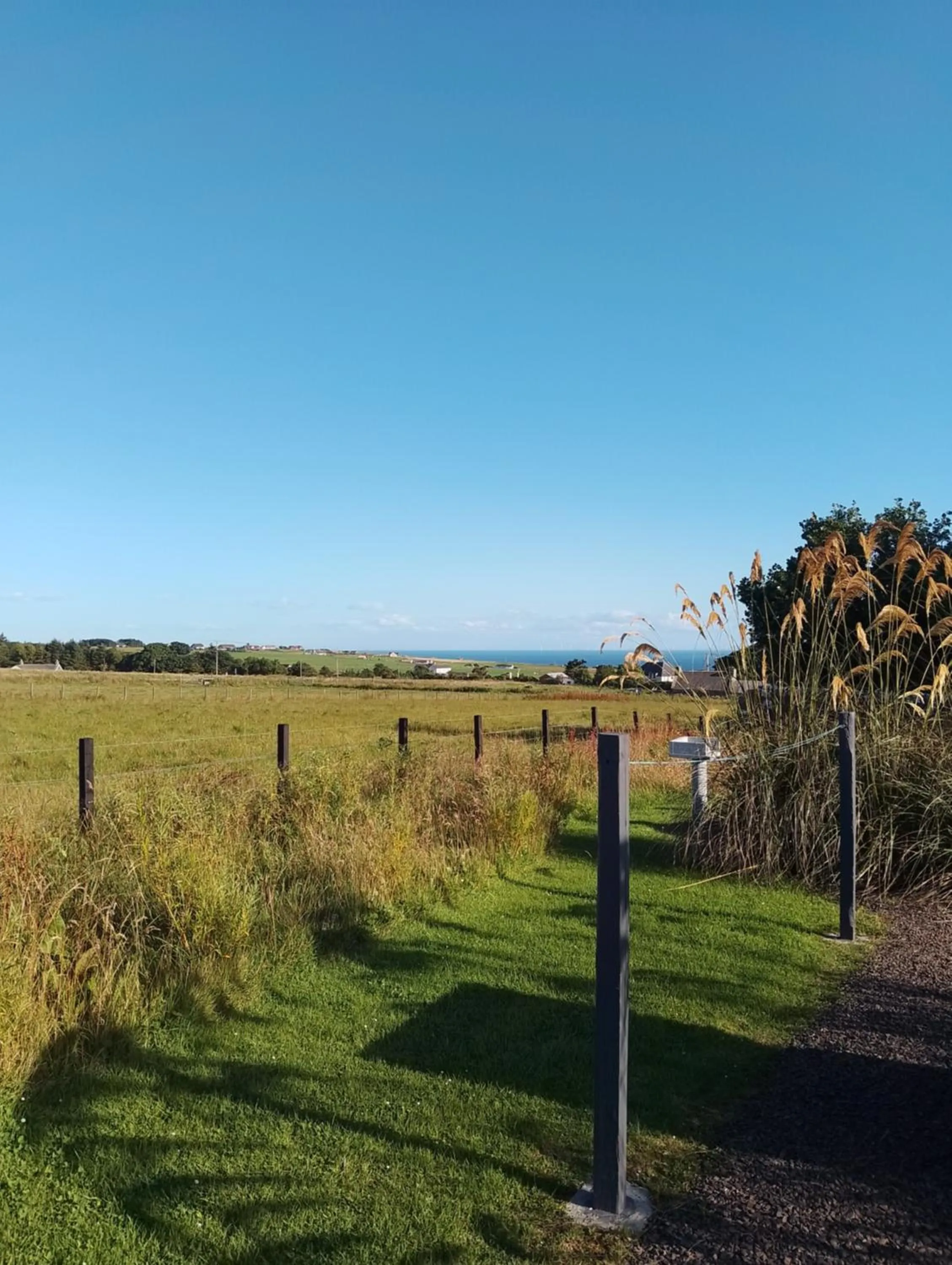 View (from property/room) in North Star Glamping