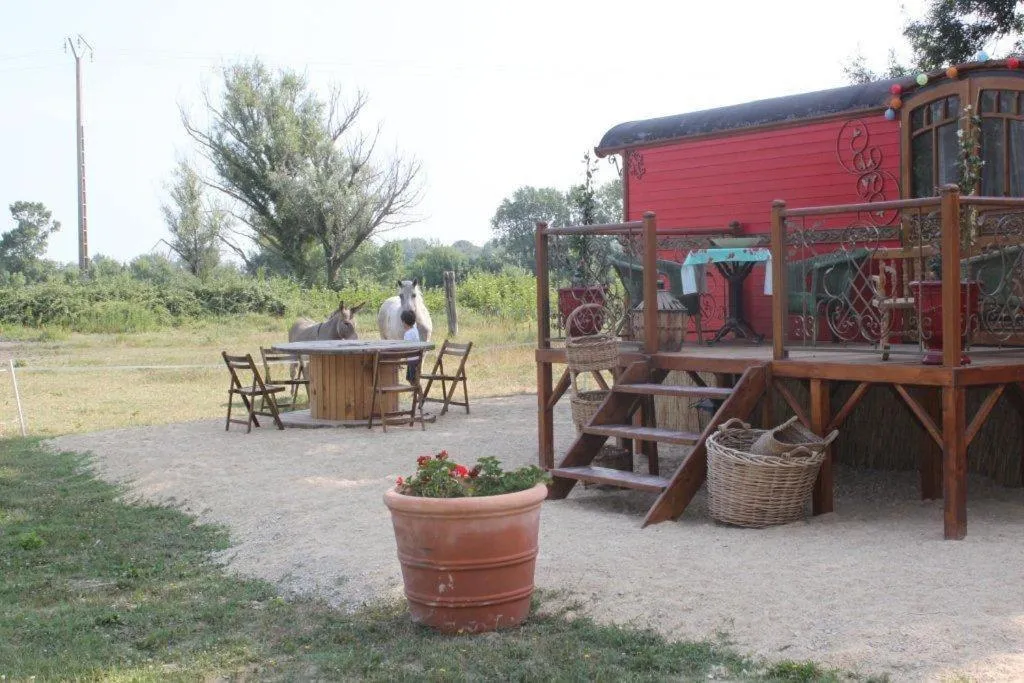 Balcony/Terrace in La roulotte "Les Saintes"