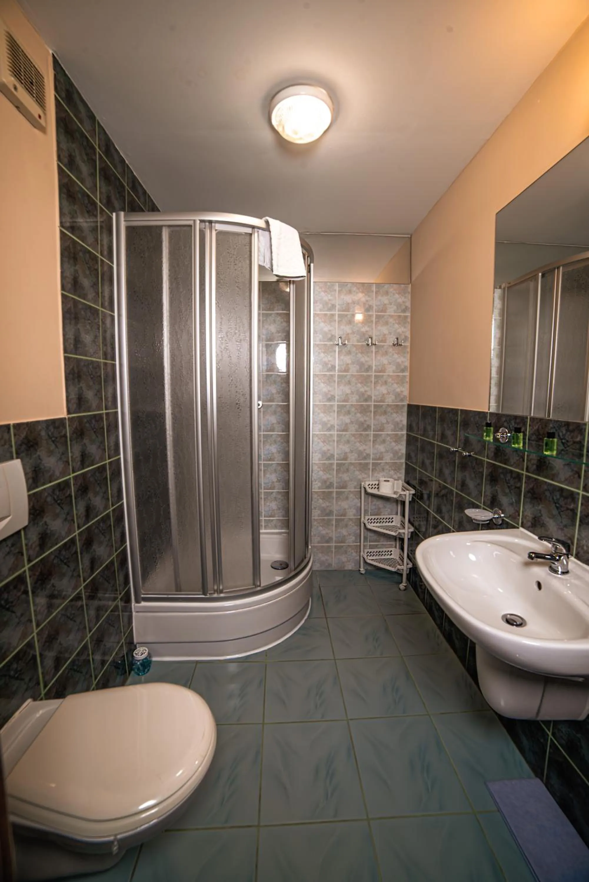 Standard Studio in Hotel Skaut