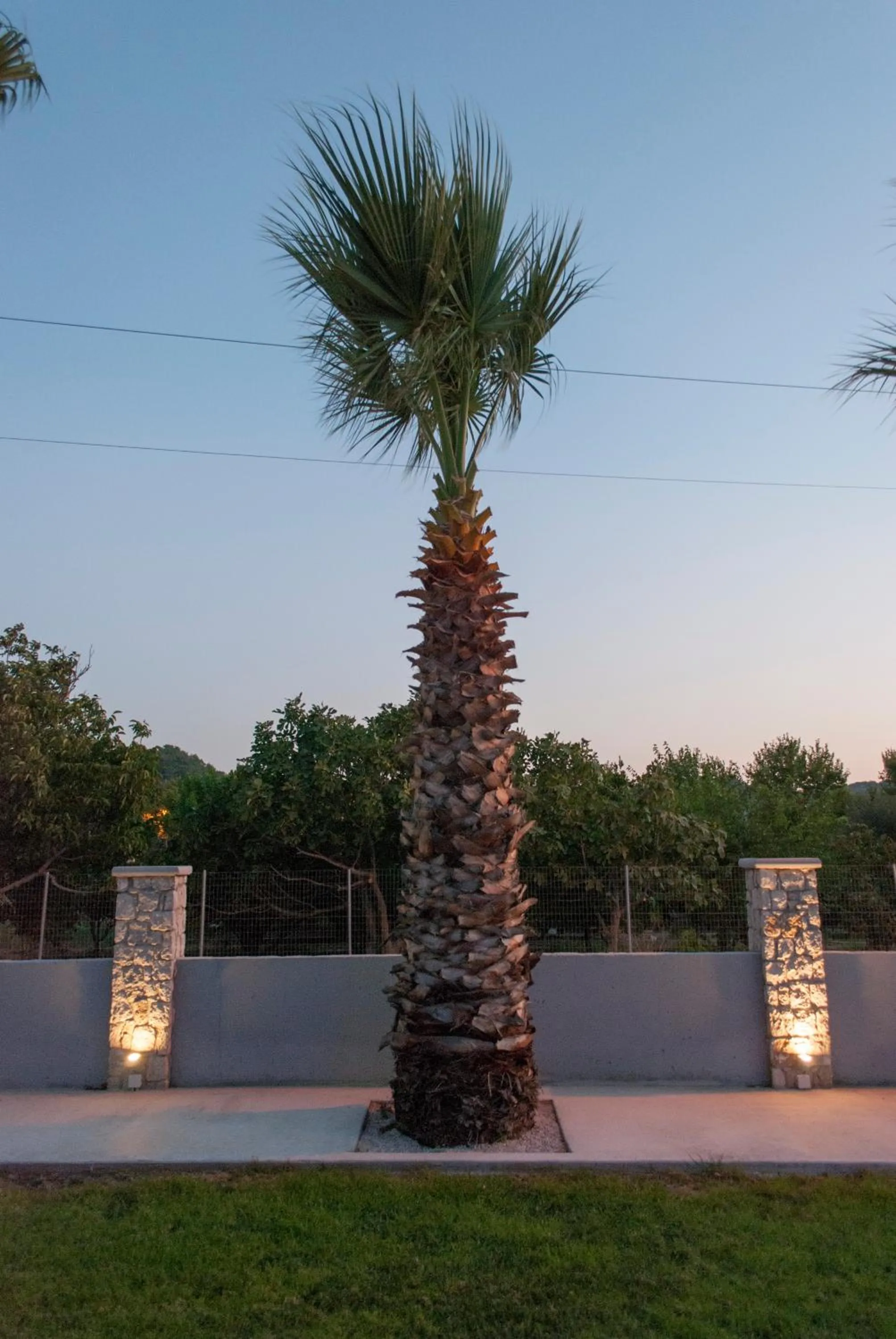 Decorative detail in Vergina Sun