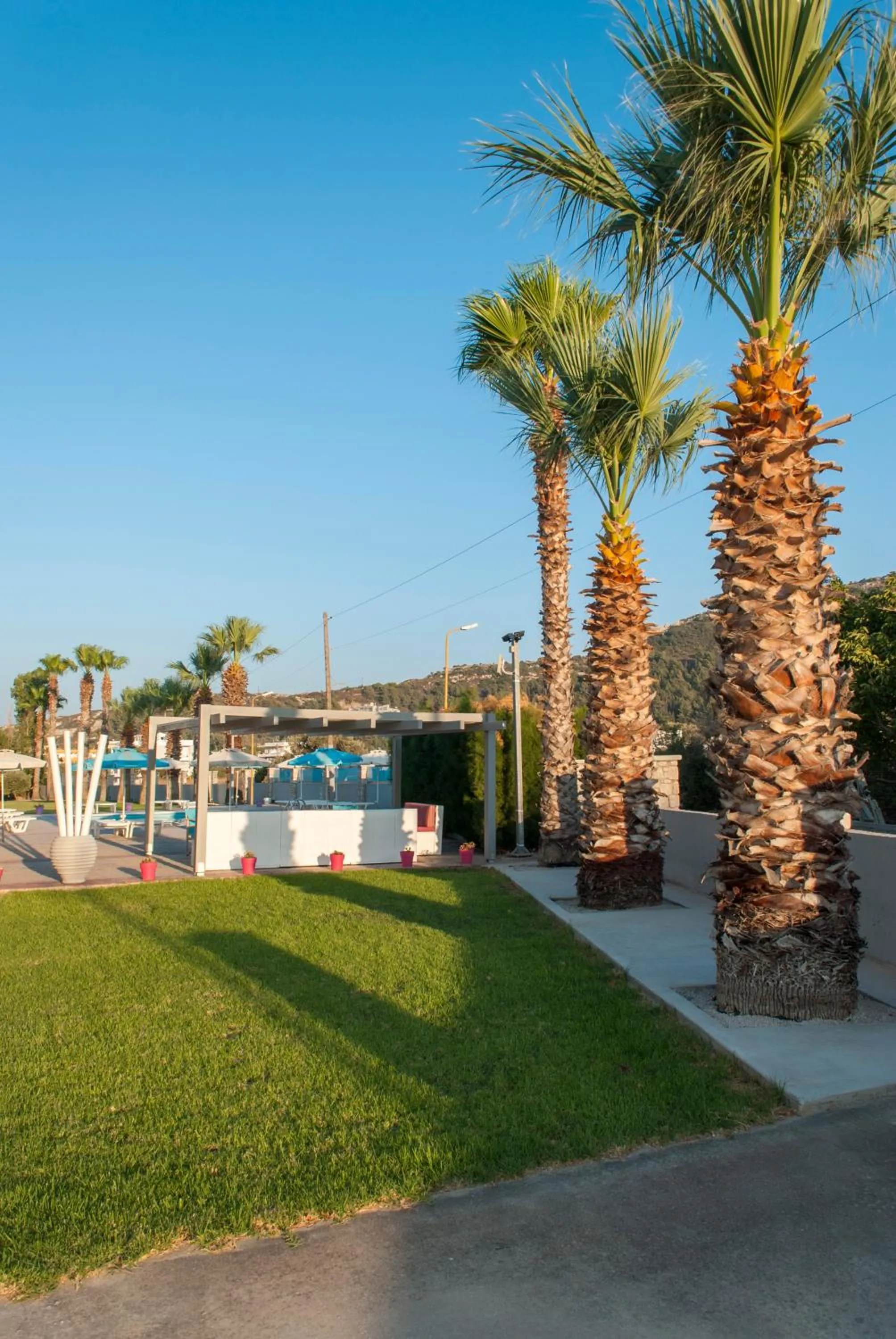 Garden in Vergina Sun