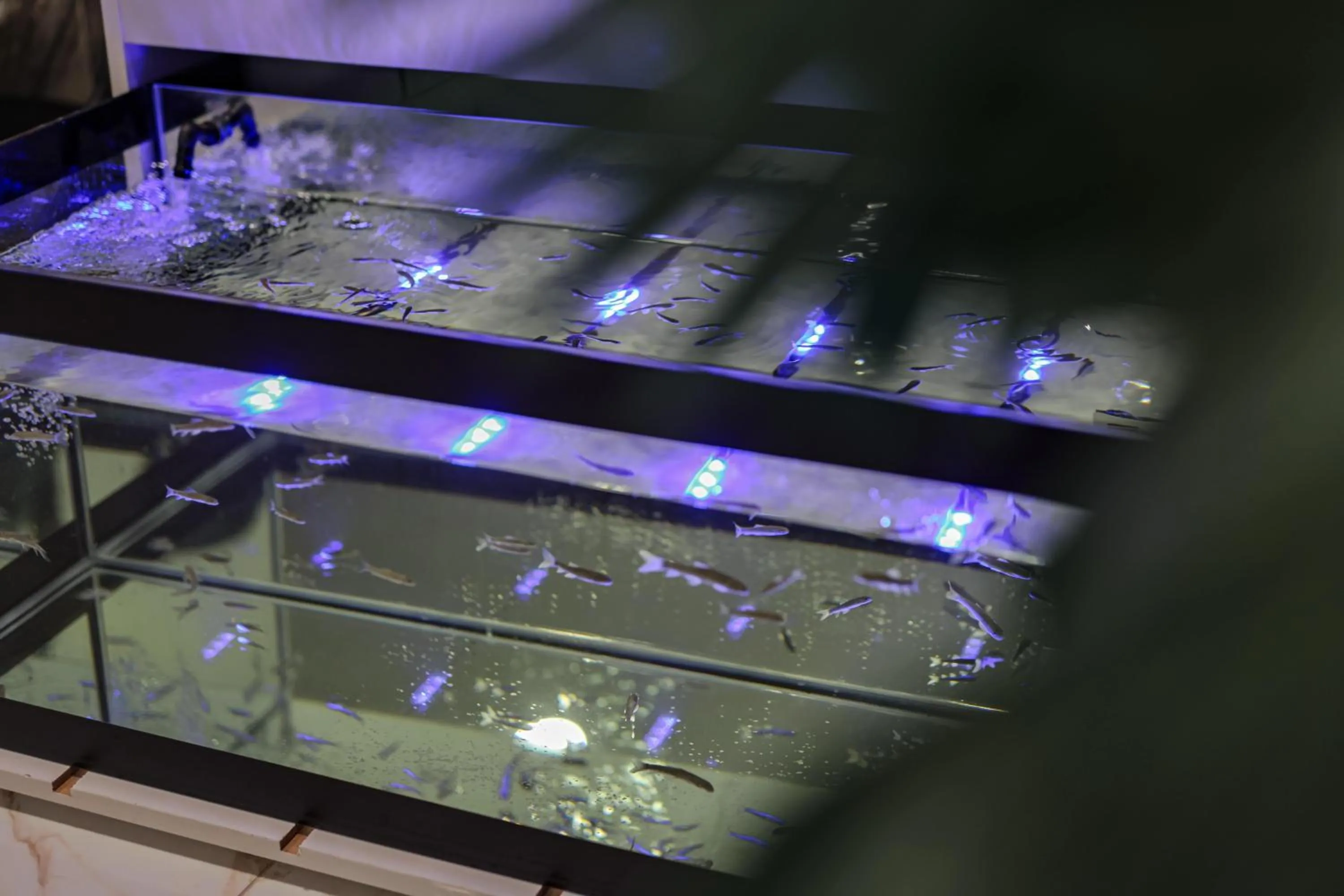 Spa and wellness centre/facilities in Emin Koçak Termal & Spa - Convention Center