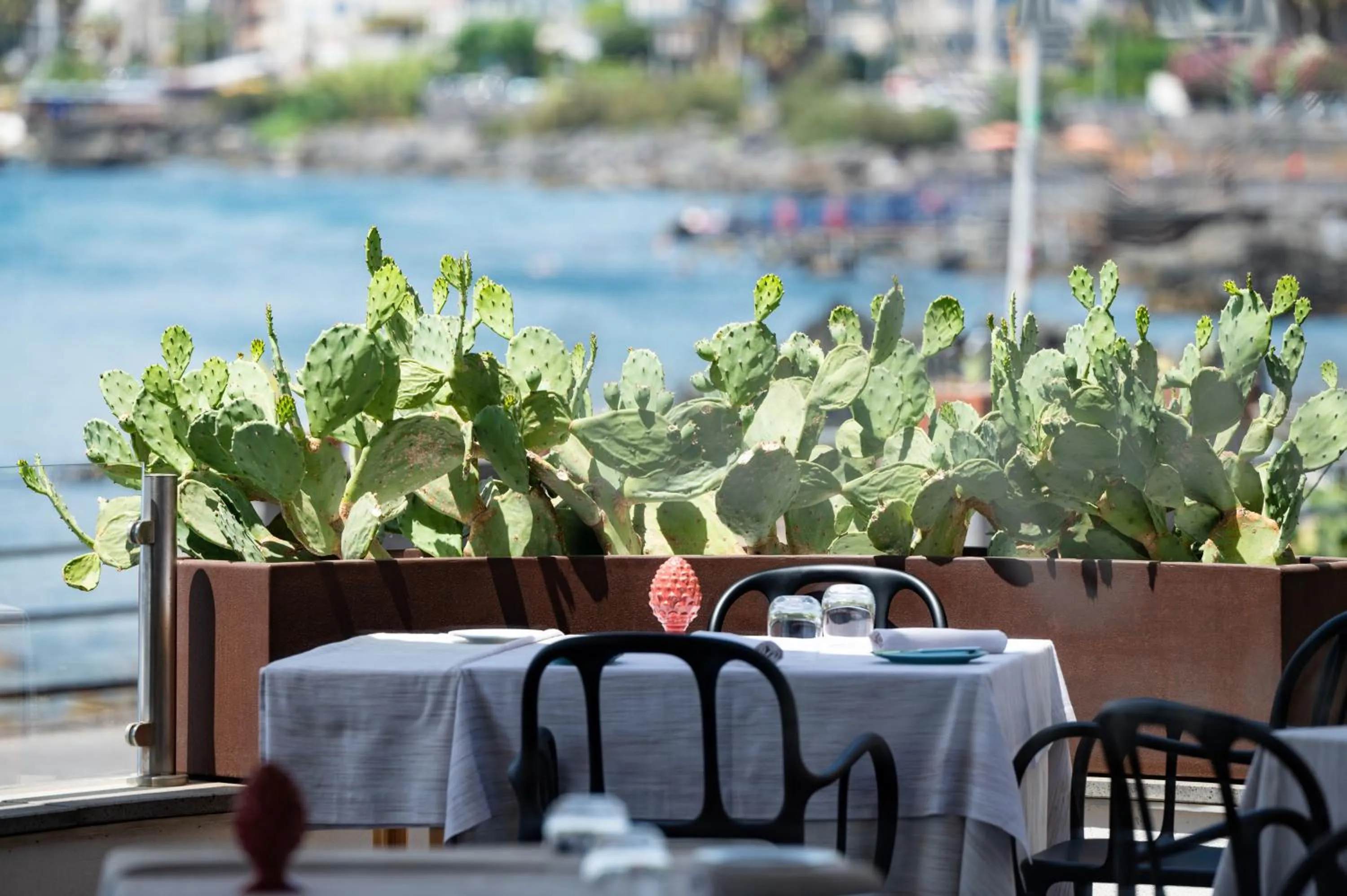 Restaurant/places to eat in Grand Hotel Faraglioni