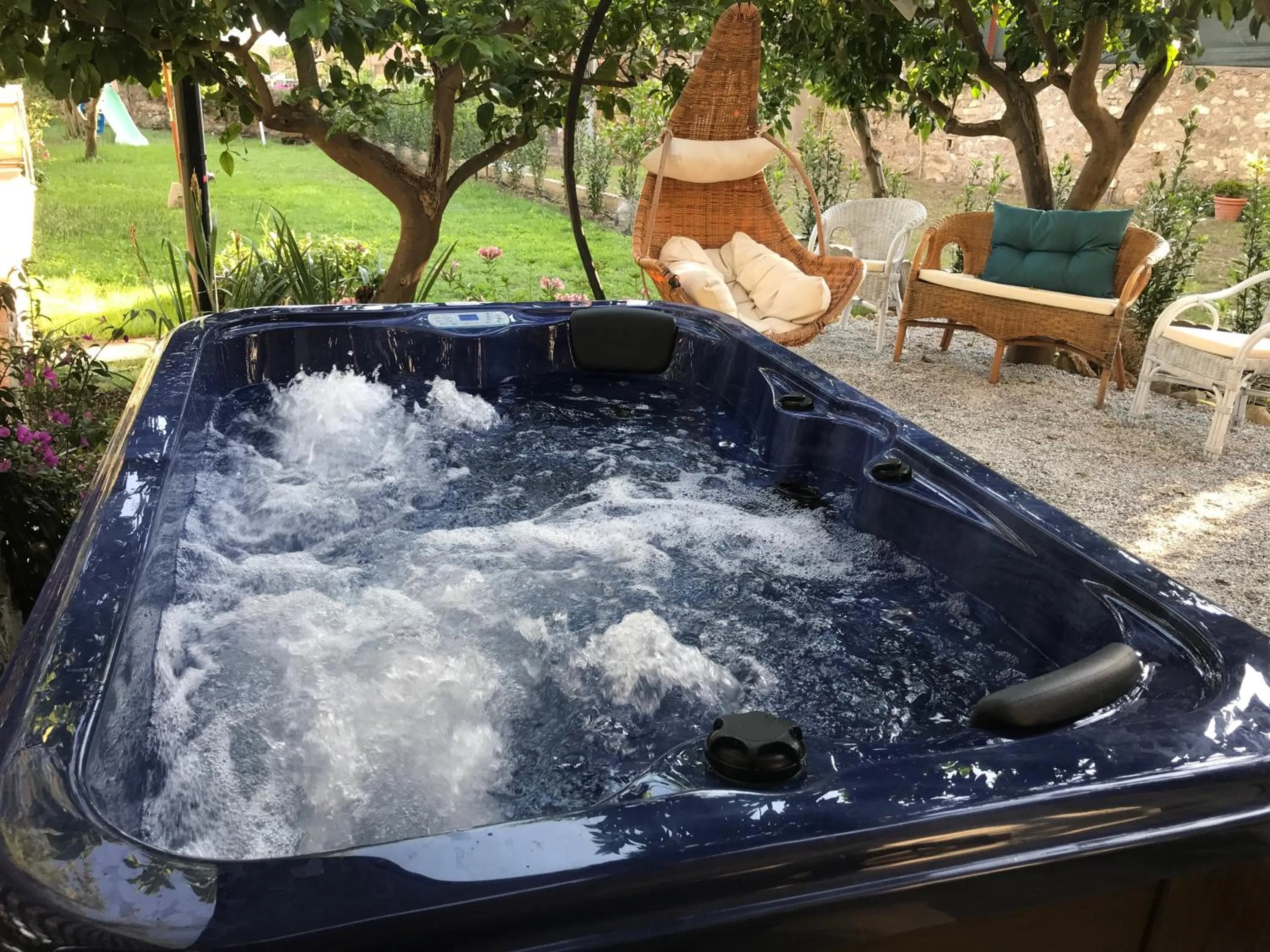 Il giardino dei limoni