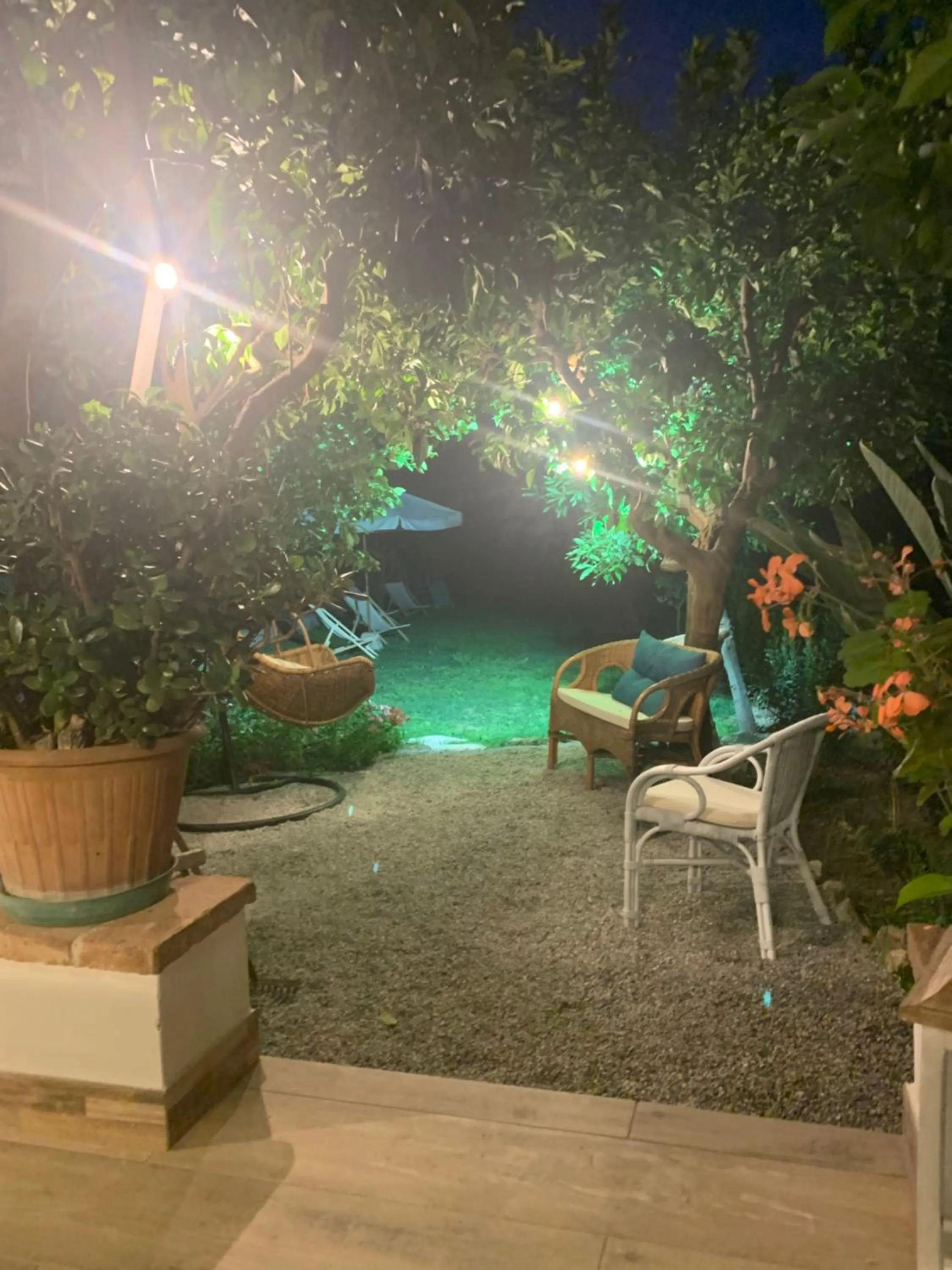 Il giardino dei limoni