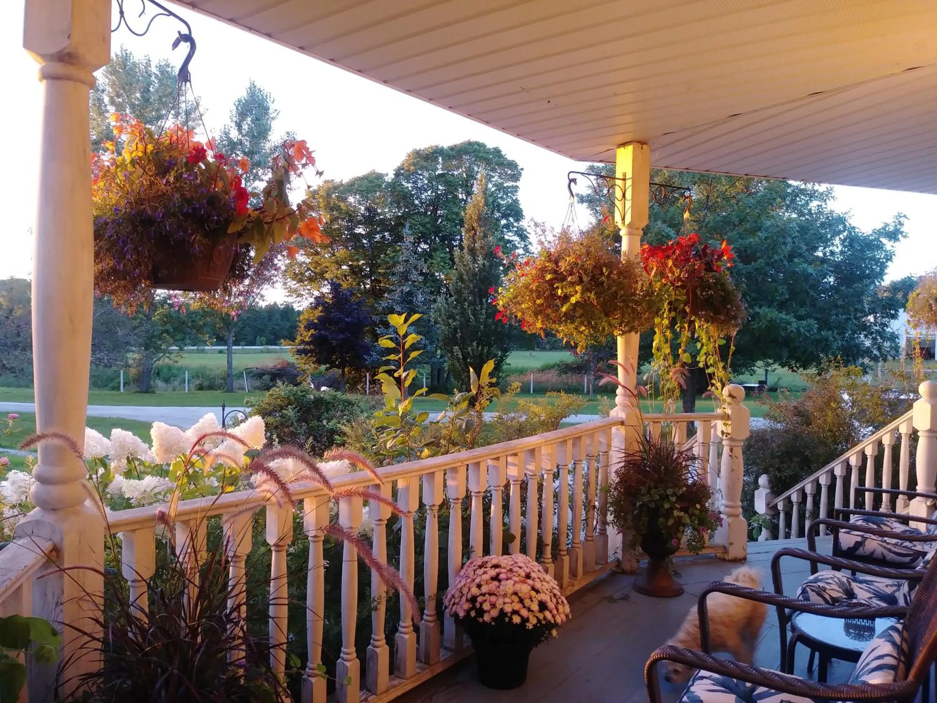 Garden in Twin Peaks B&B