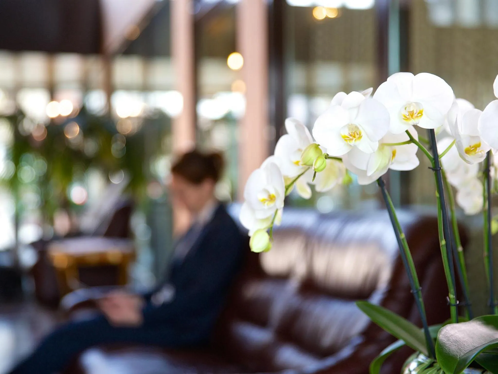 Lobby or reception in Hotel Garni Geisler