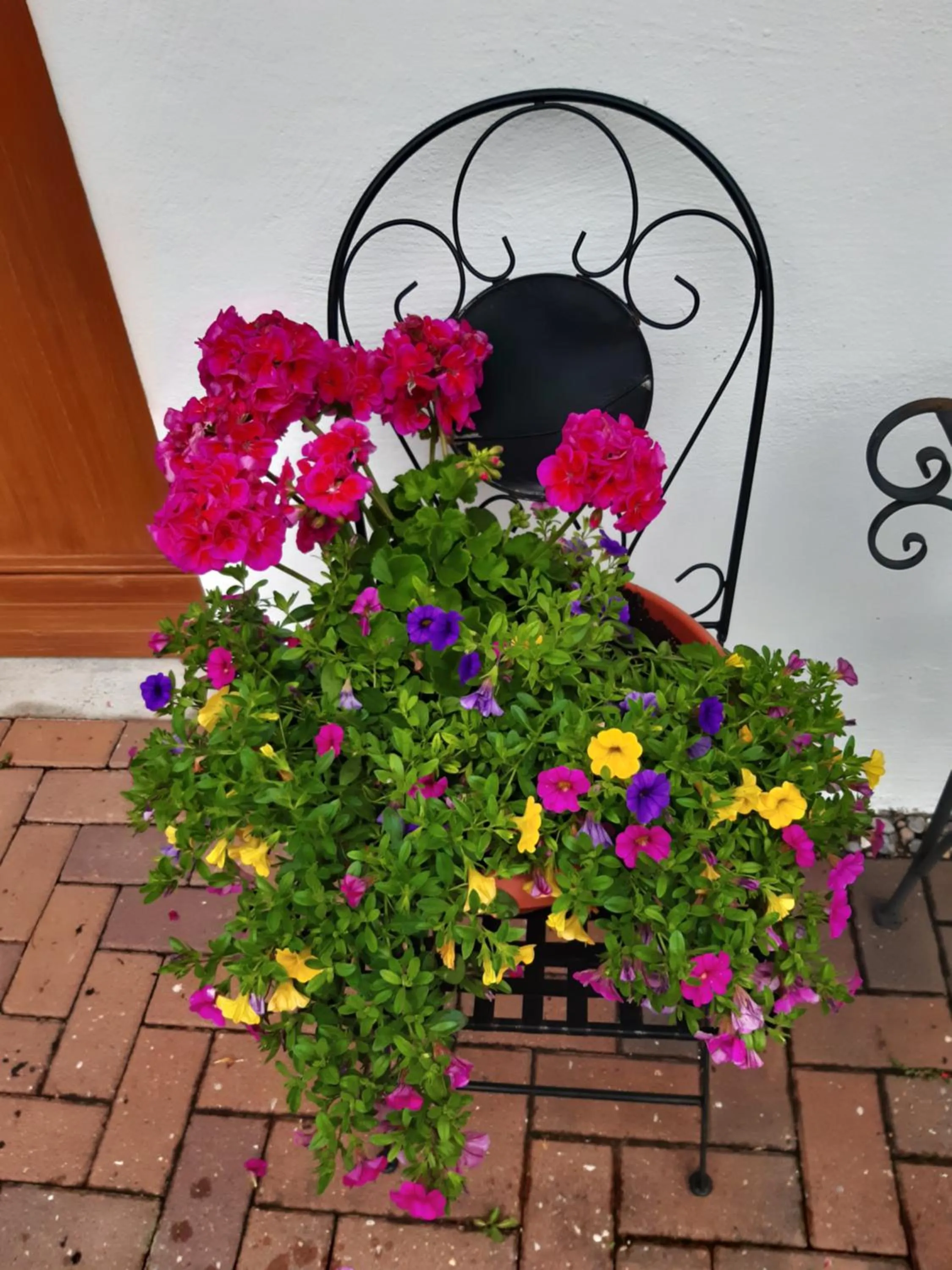 Garden in Hotel Antonia