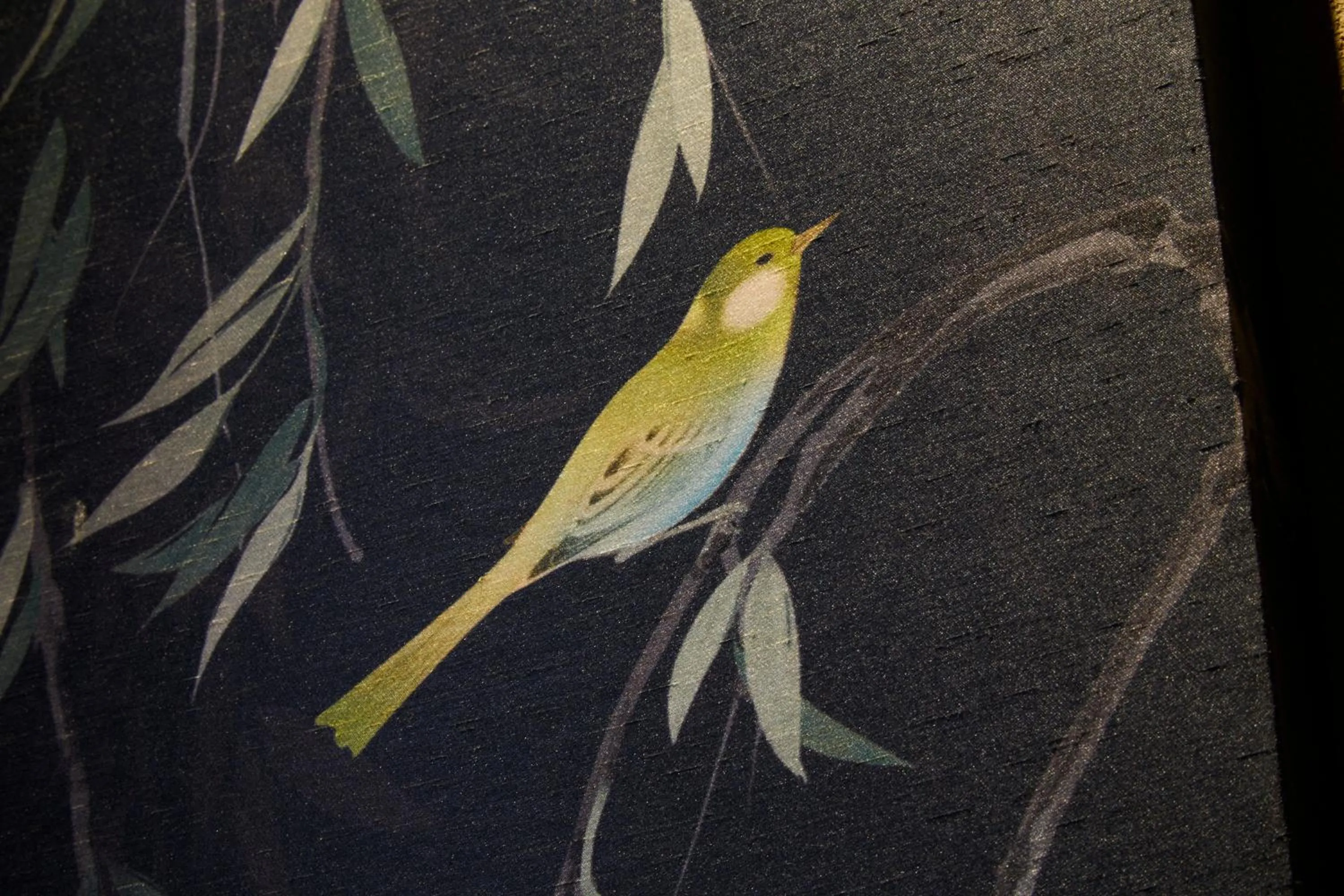 Other in Rinn Shirakawa South