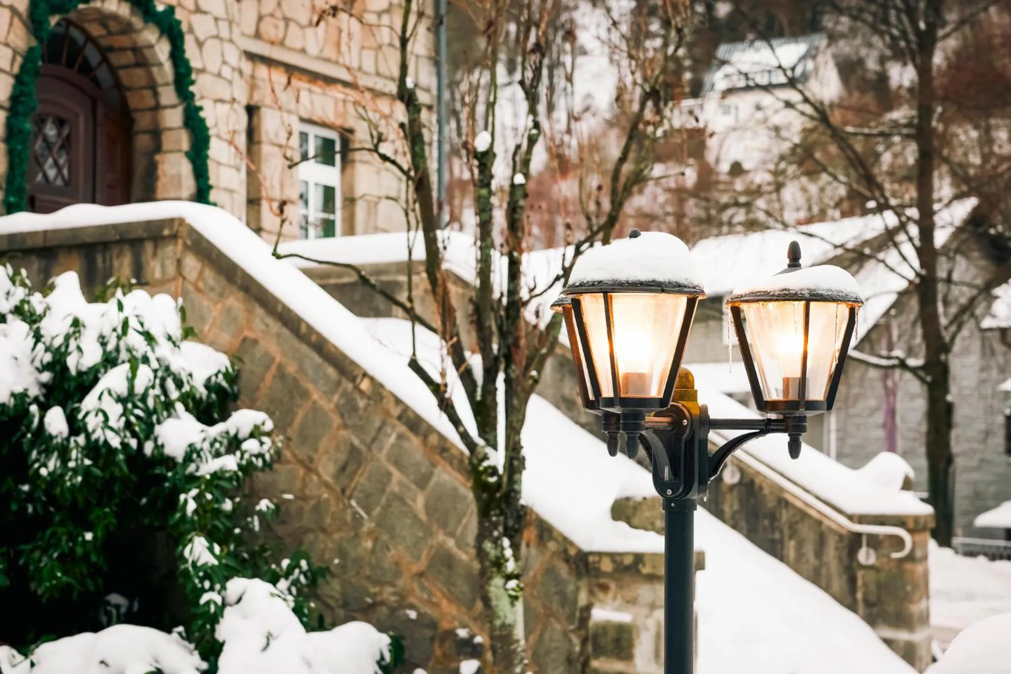 Garden in Rüters Parkhotel