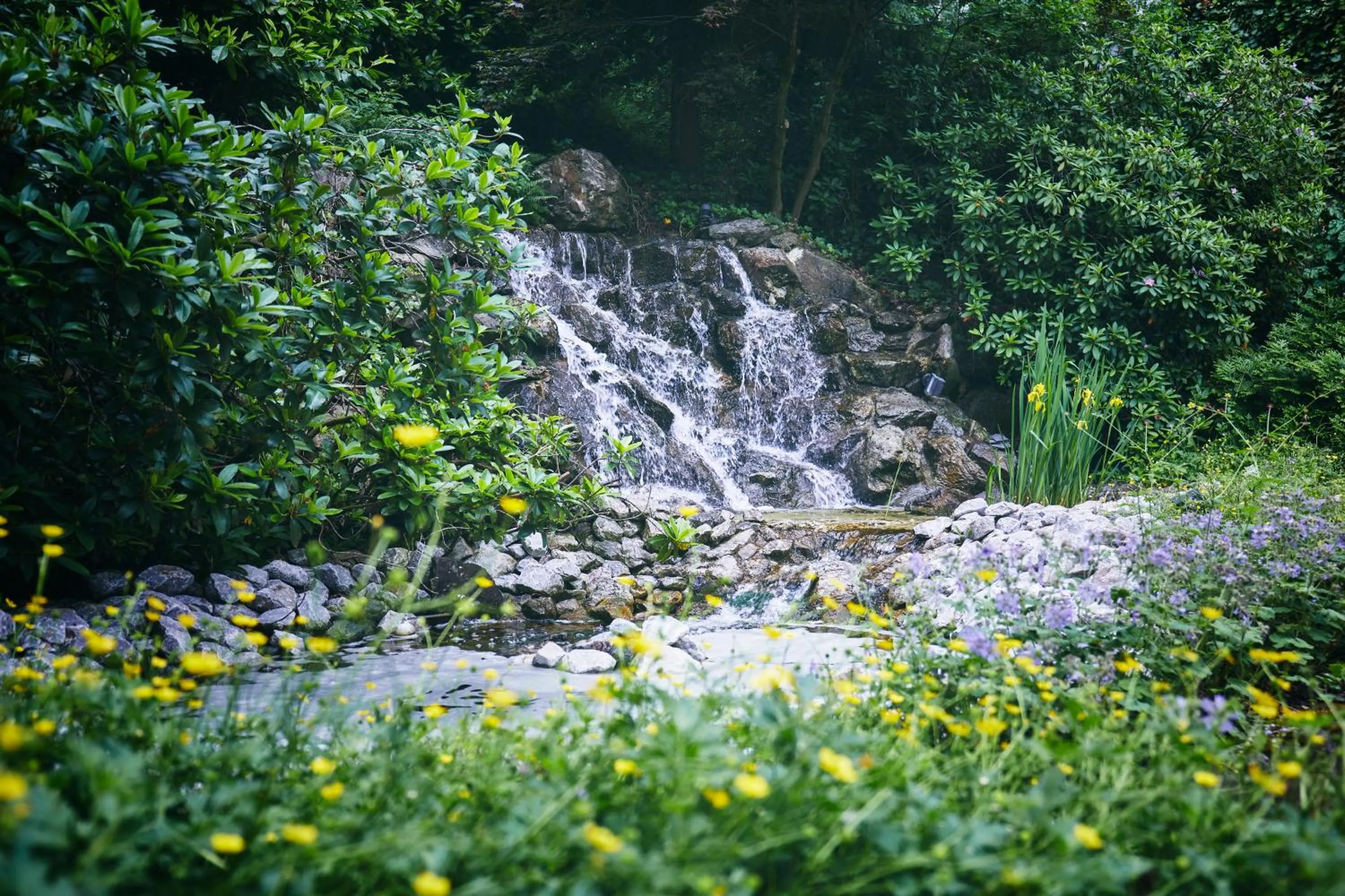 View (from property/room) in Rüters Parkhotel