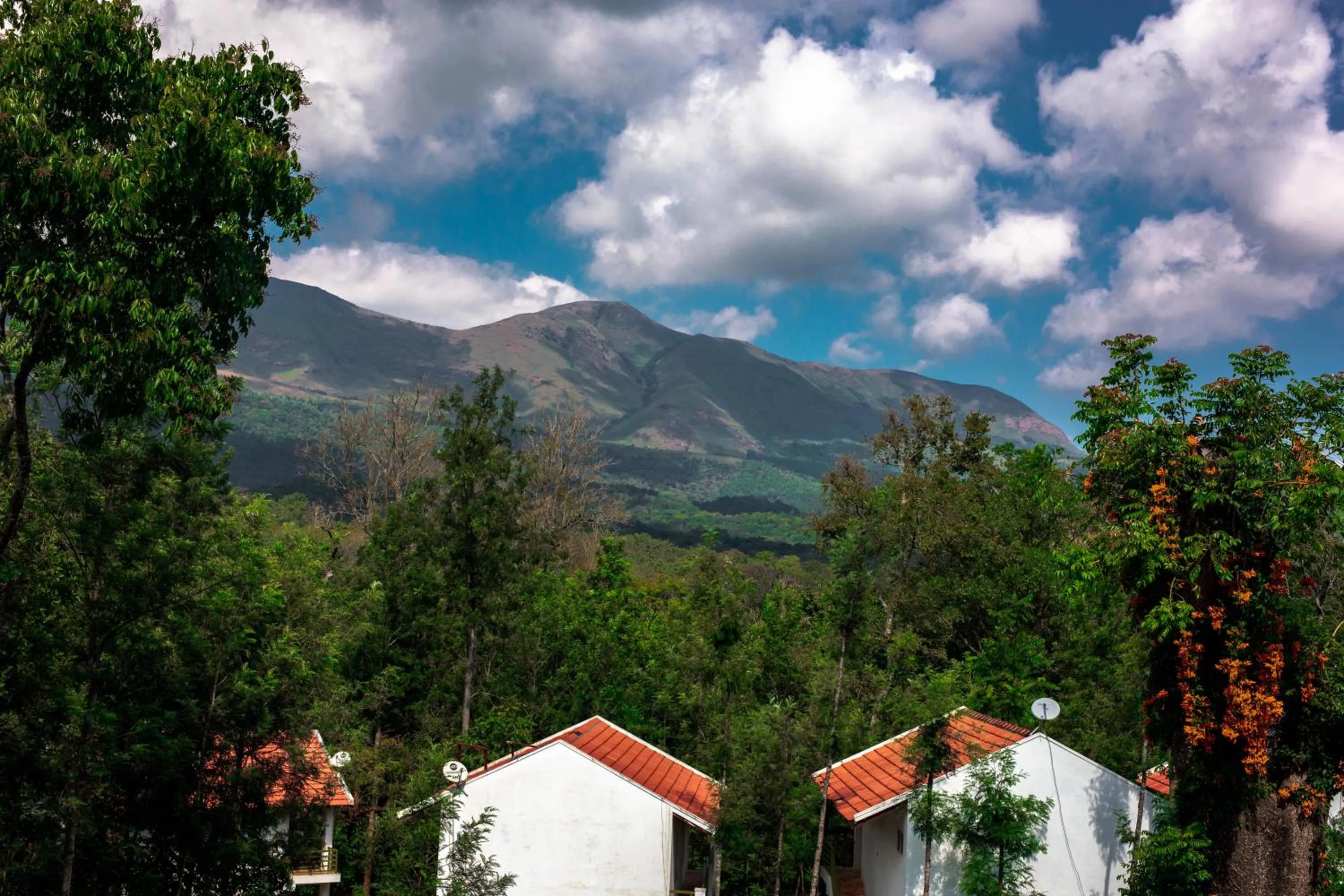 View (from property/room) in The Blossom Resort - Chikmagalur