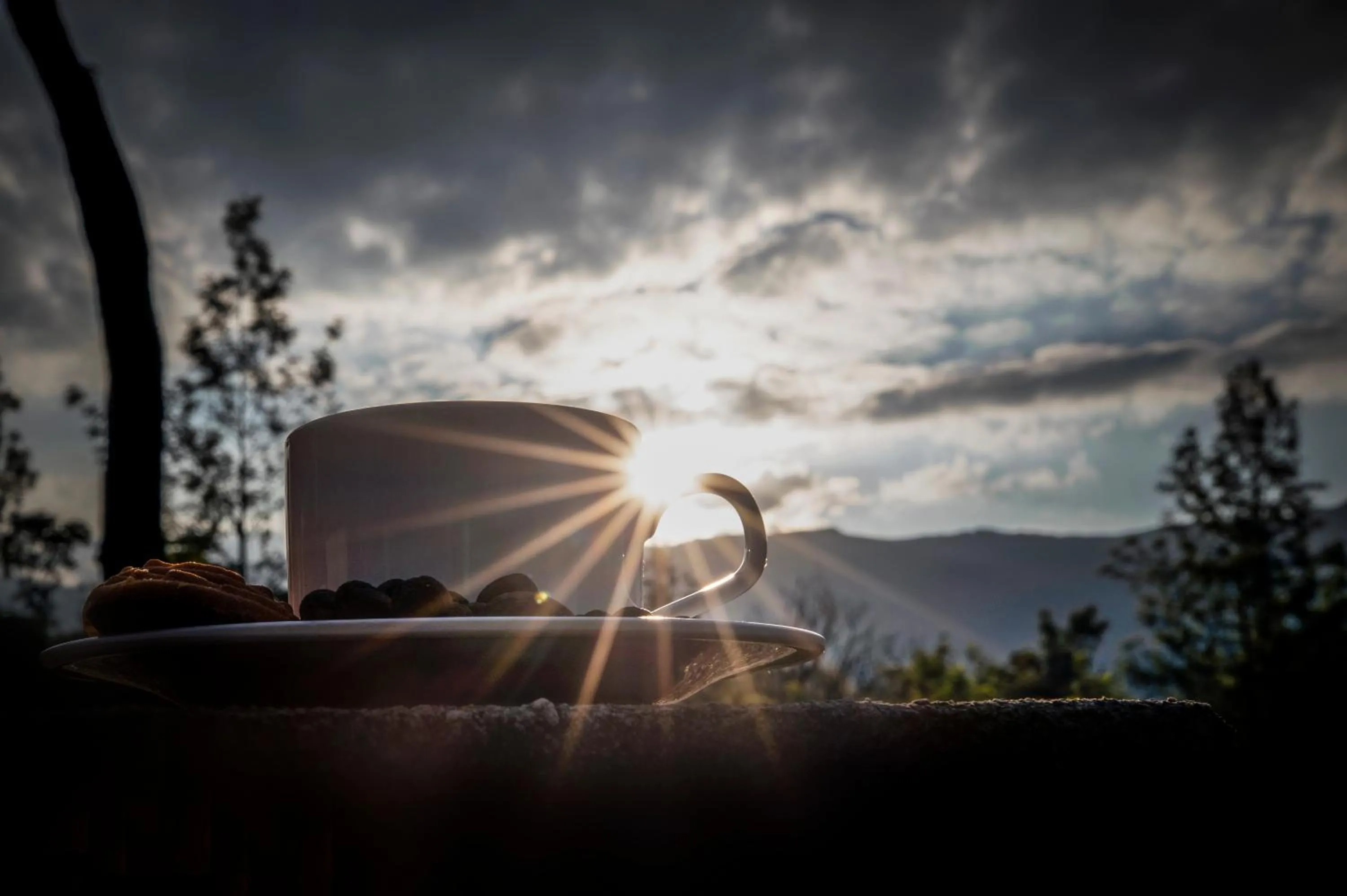 Sunset in The Blossom Resort - Chikmagalur