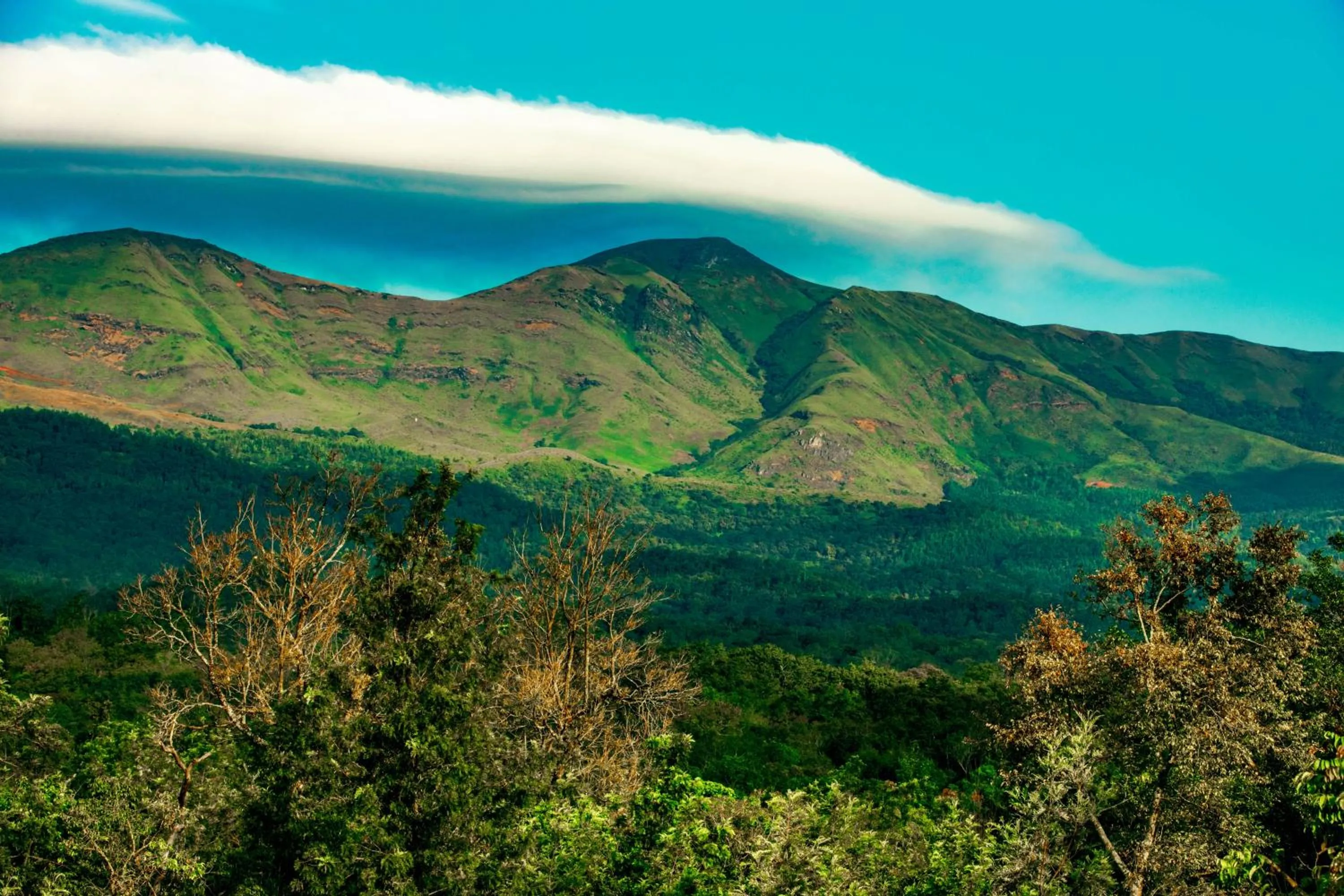 Mountain view in The Blossom Resort - Chikmagalur