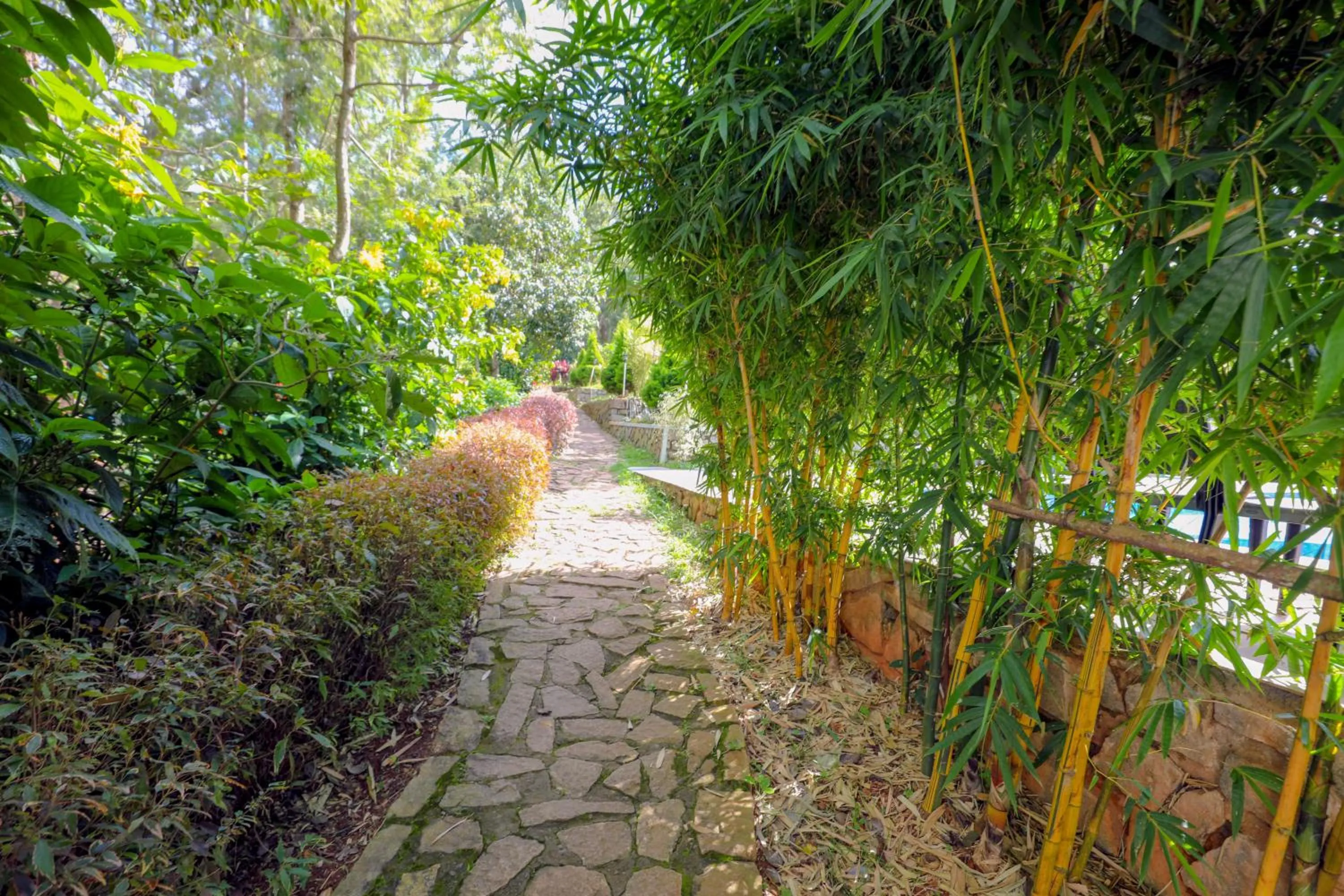Garden in The Blossom Resort - Chikmagalur