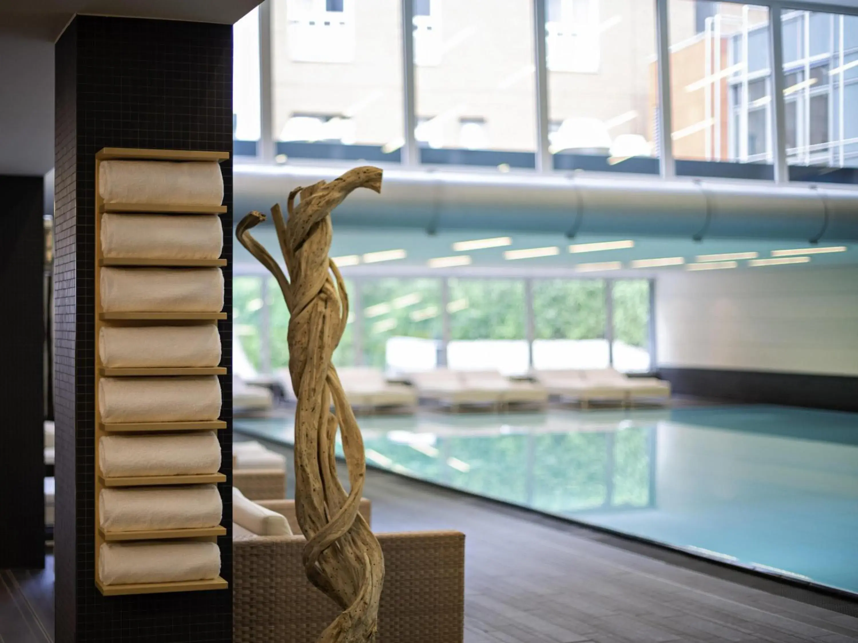 Pool view in Pullman Berlin Schweizerhof Pool view in Pullman Berlin Schweizerhof