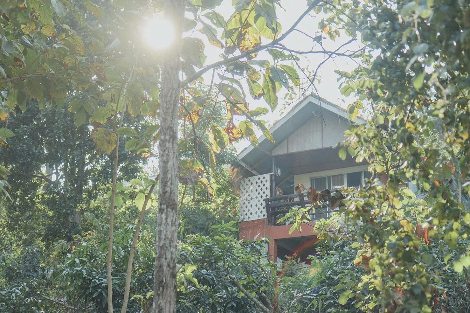 Property building in Baansuan Chomchun