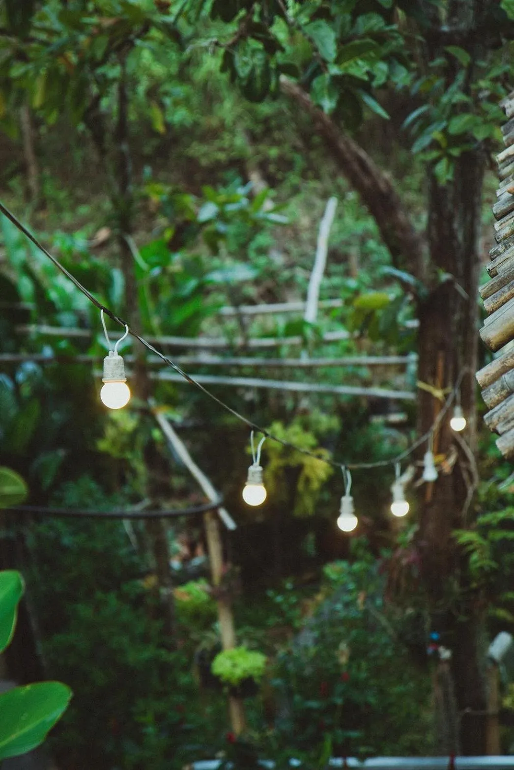 Garden in Baansuan Chomchun