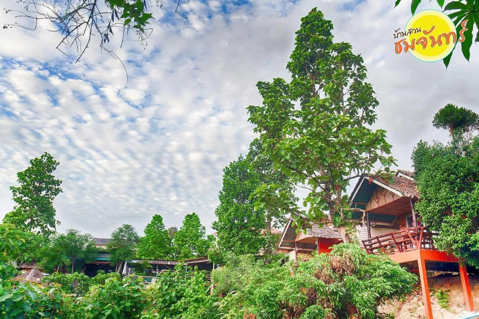 Garden in Baansuan Chomchun