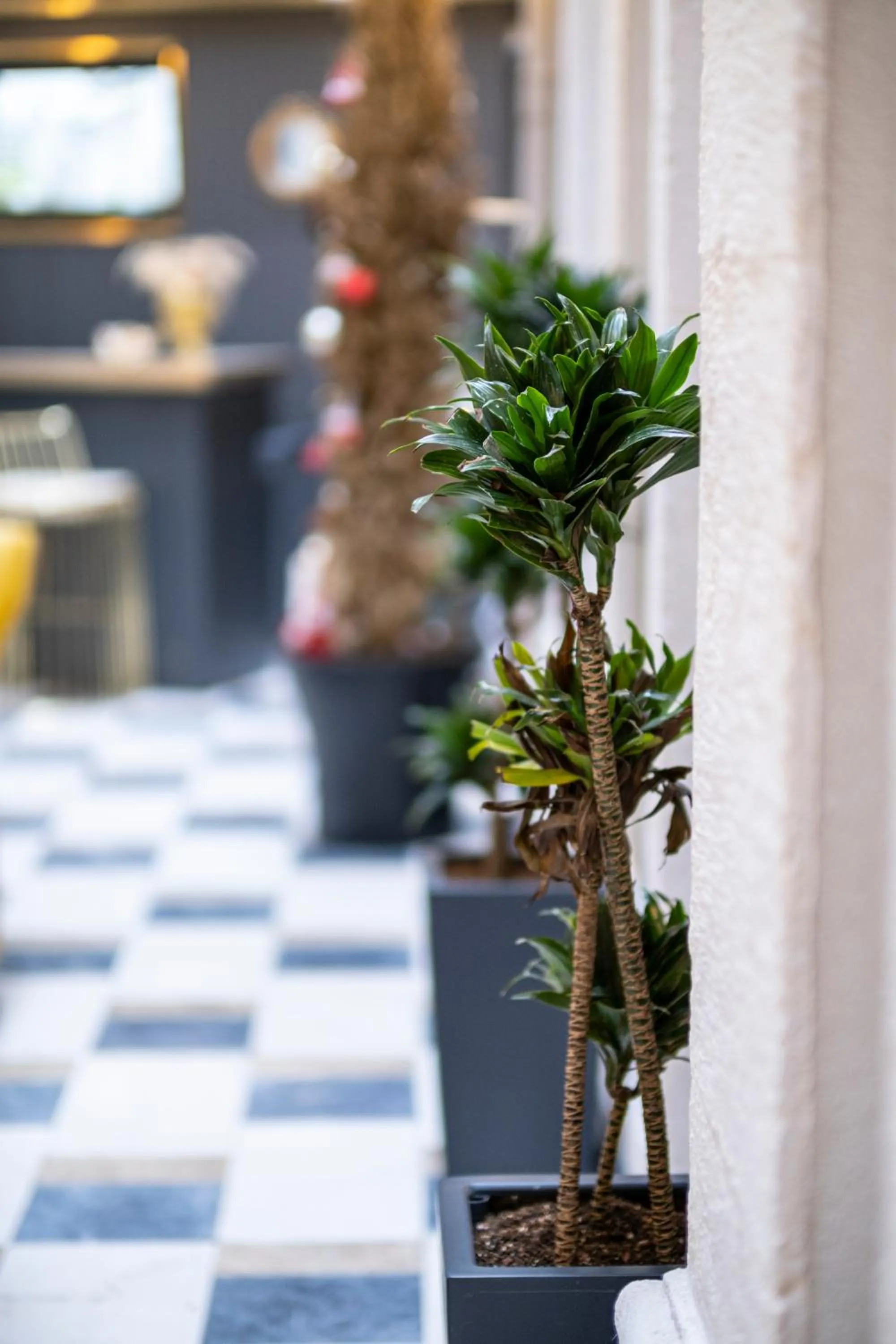 Lobby or reception in Ferman Port Hotel - Special Category