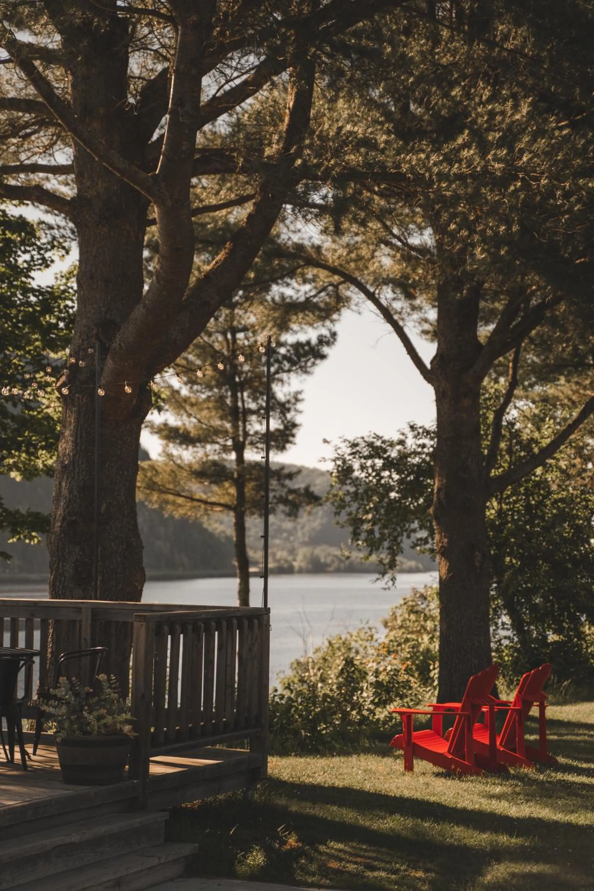 Summer in Le 2800 du Parc