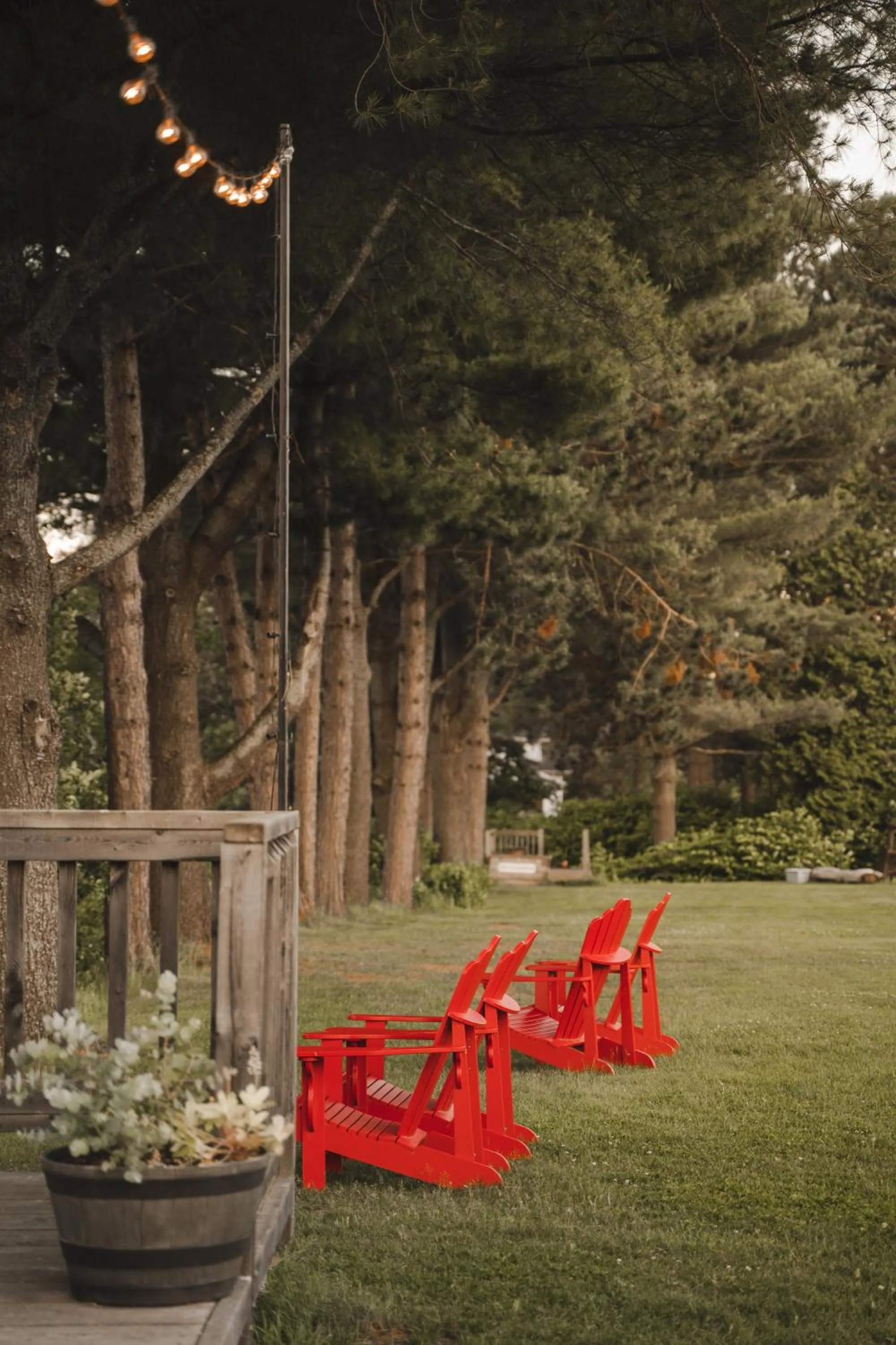 Summer in Le 2800 du Parc