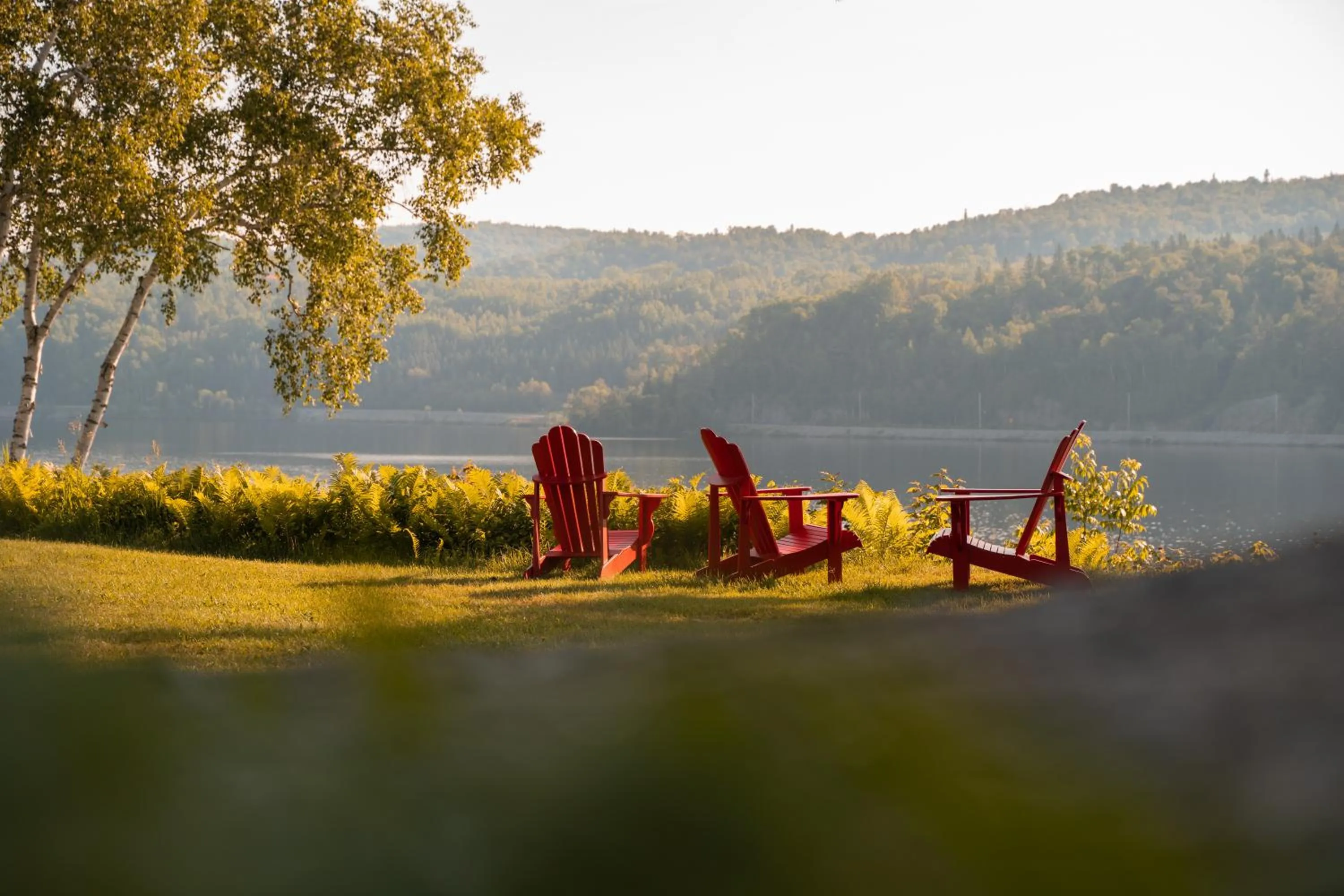 Day in Le 2800 du Parc