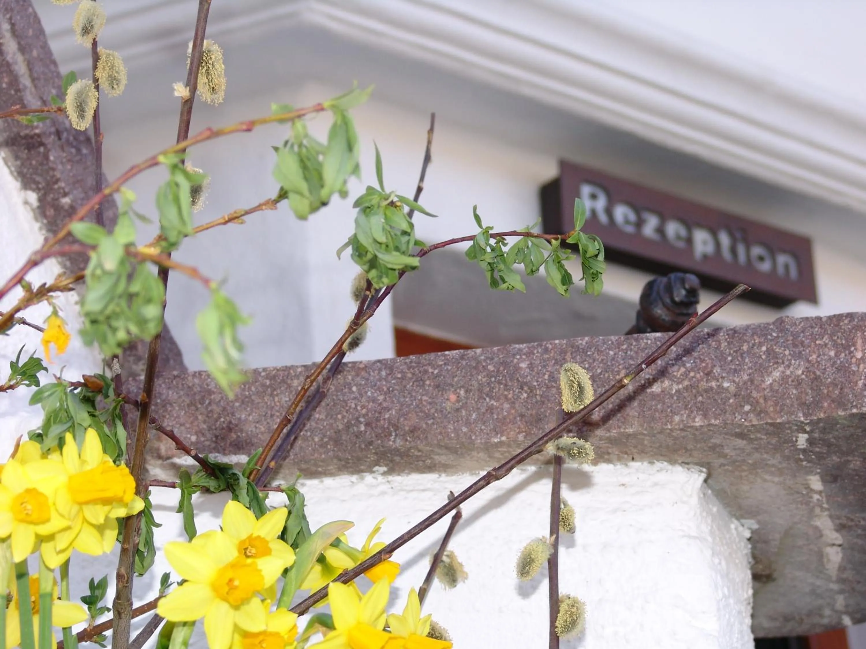 Facade/entrance in Hotel Ferienhaus Fux