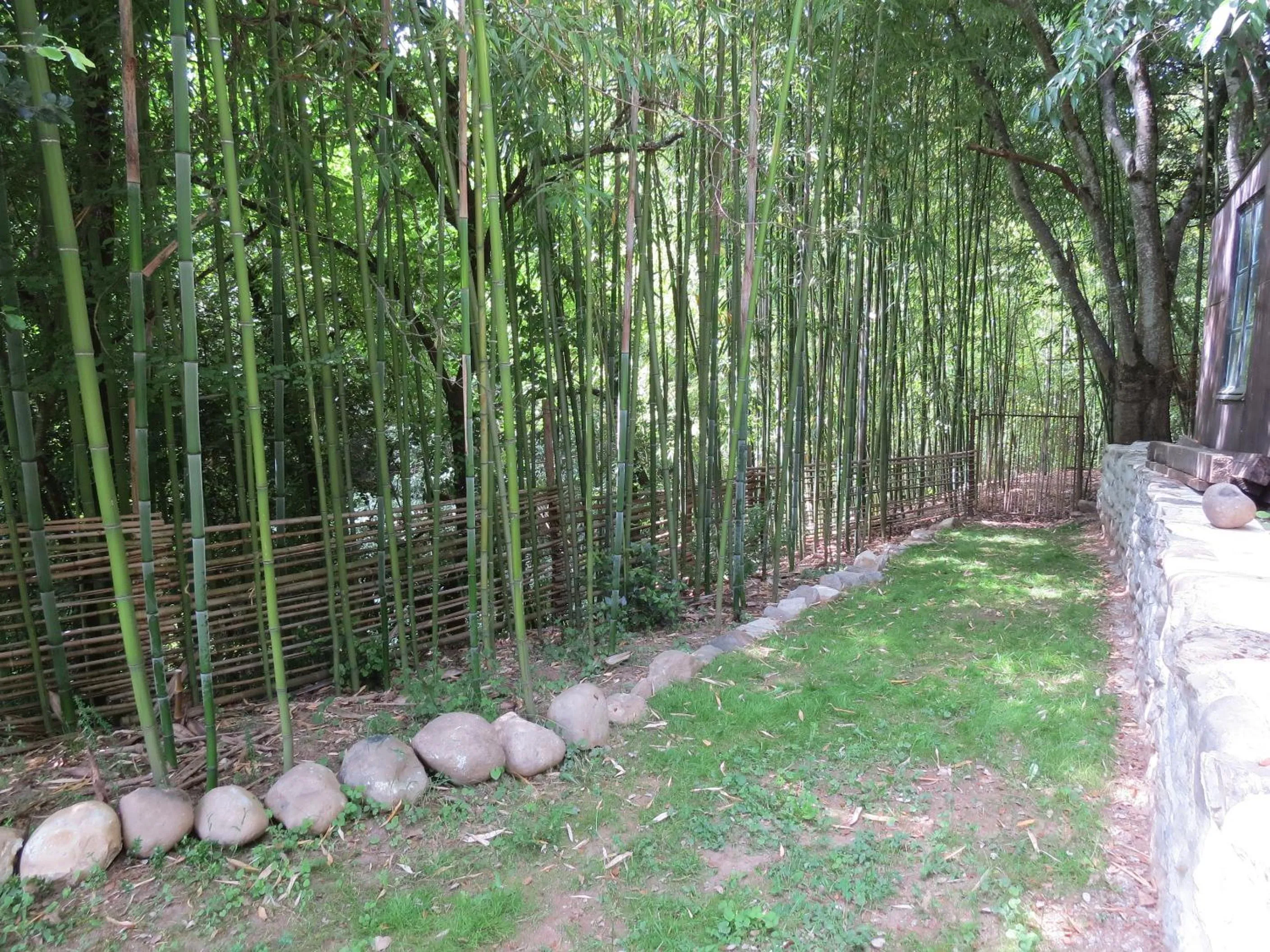 Garden in Chez Cécile et Mickaël