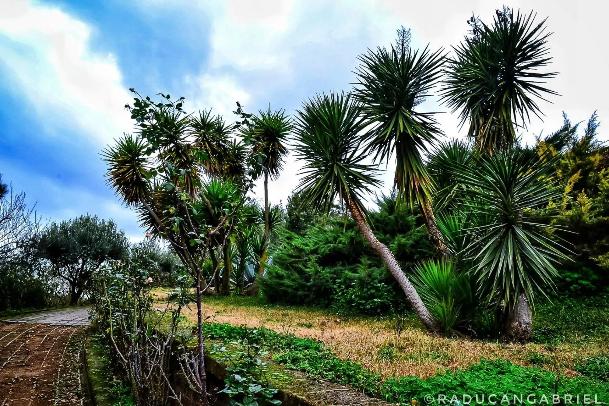 Garden in Il Casale Del Sogno