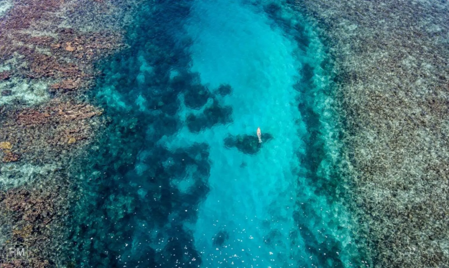 Natural landscape in Caribbean Casa Blanca