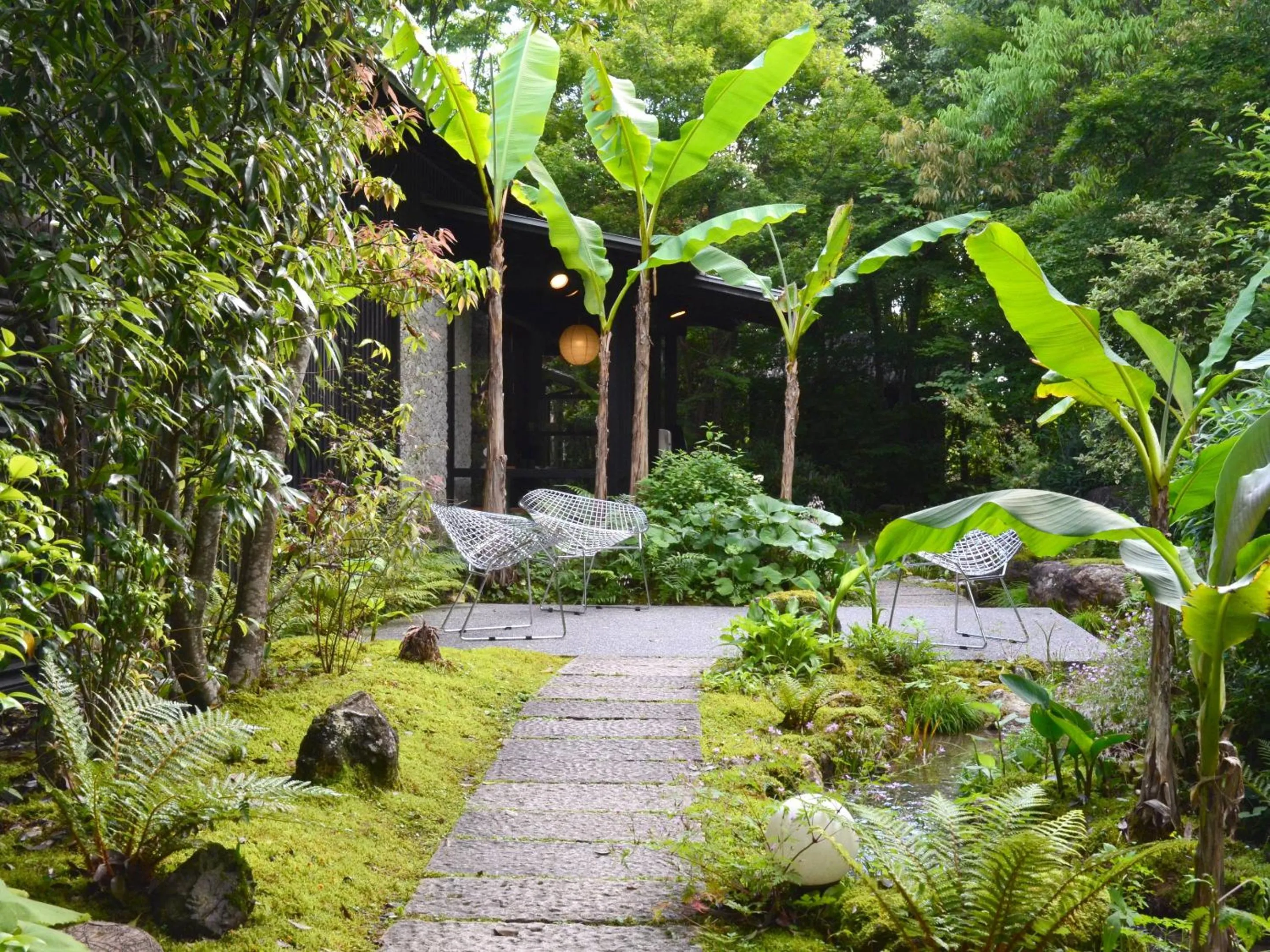 Photo of the whole room in Kohanyu