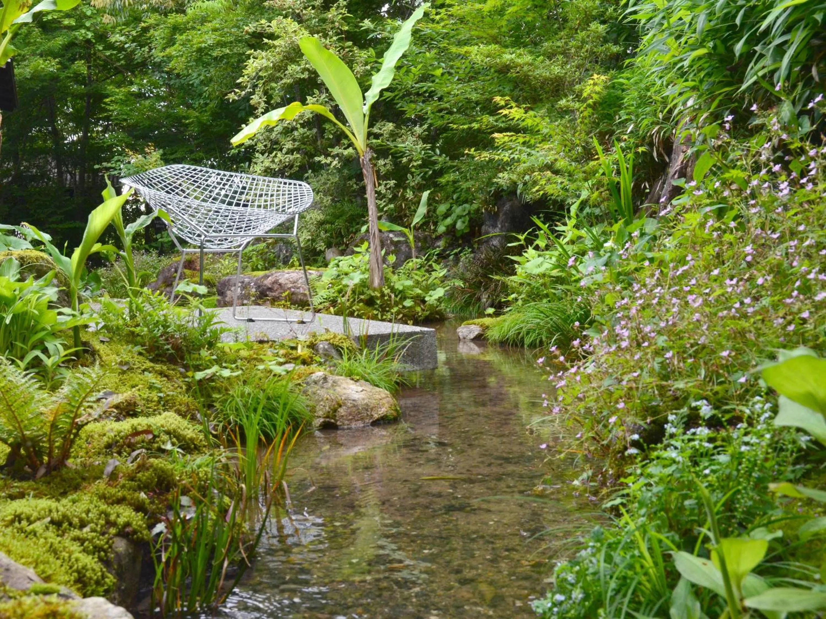 Photo of the whole room in Kohanyu