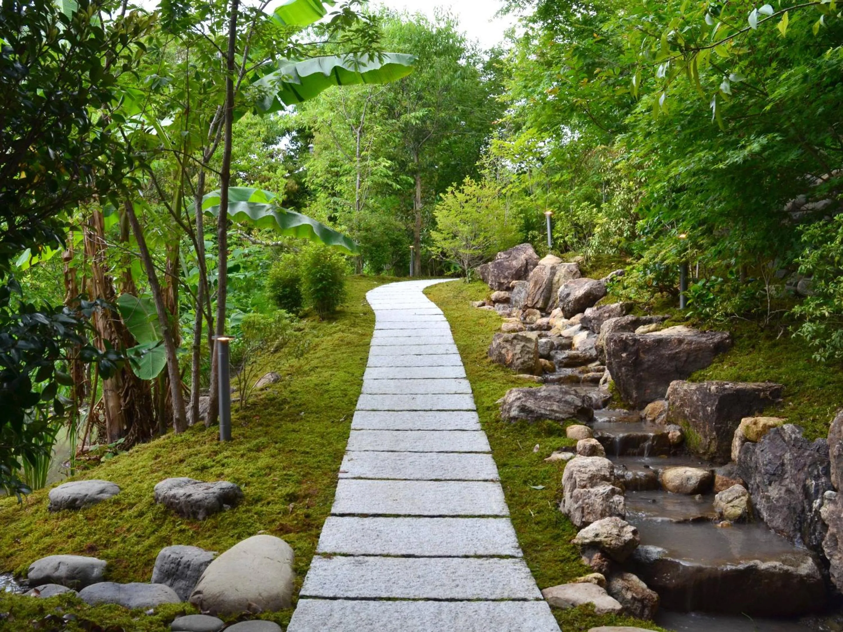 Photo of the whole room in Kohanyu